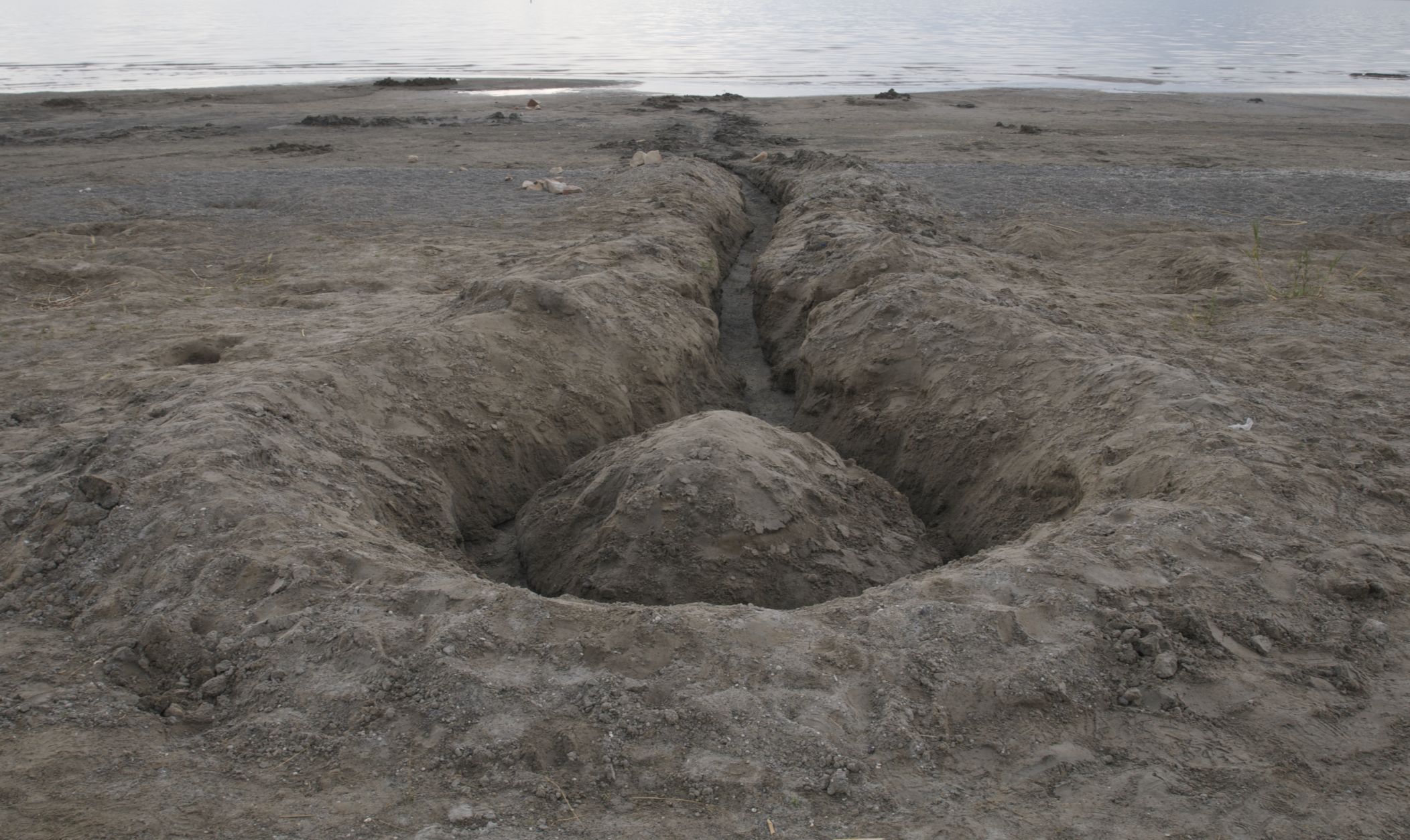 Andy D. Duncan Photography