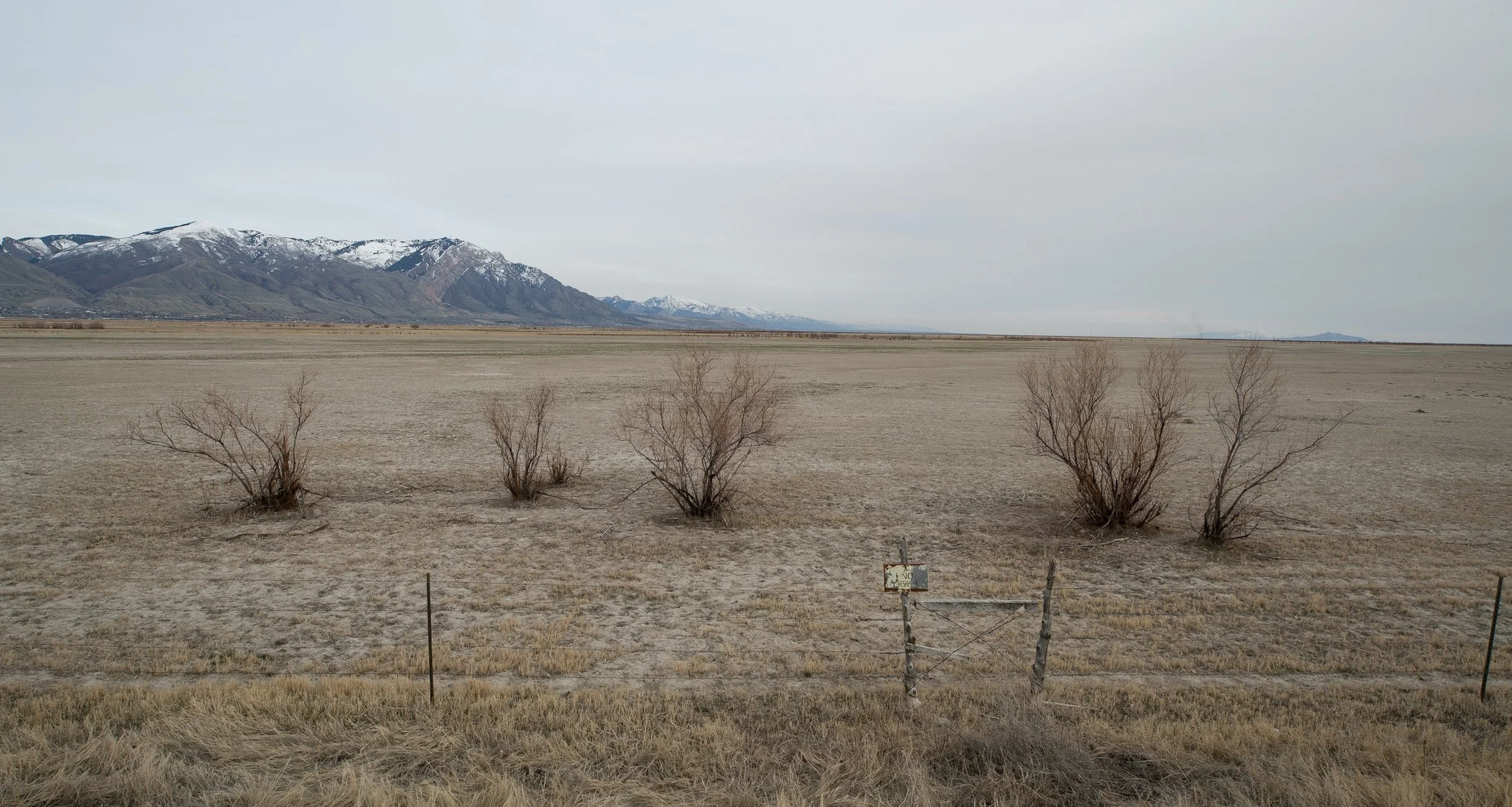  Bear River Migratory Bird Refuge, Utah 2018 