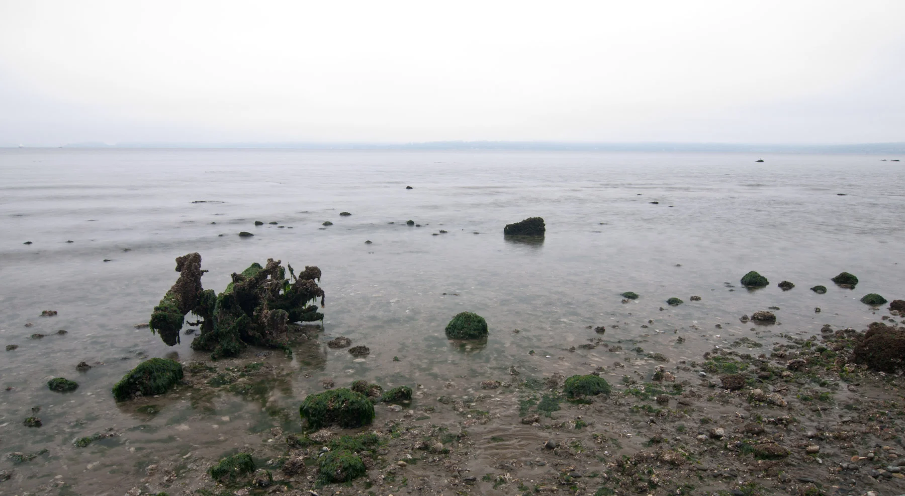  Puget Sound, Discovery Park 