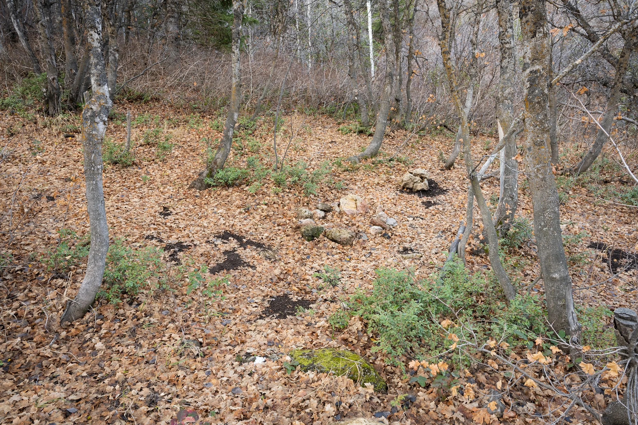 Willard Peak Road, Utah