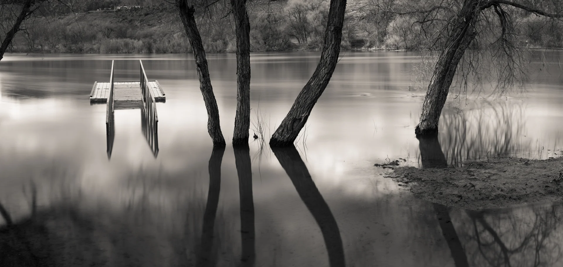 Submerged Dock, Snake River, Centennial Waterfront Park, Idaho 2019