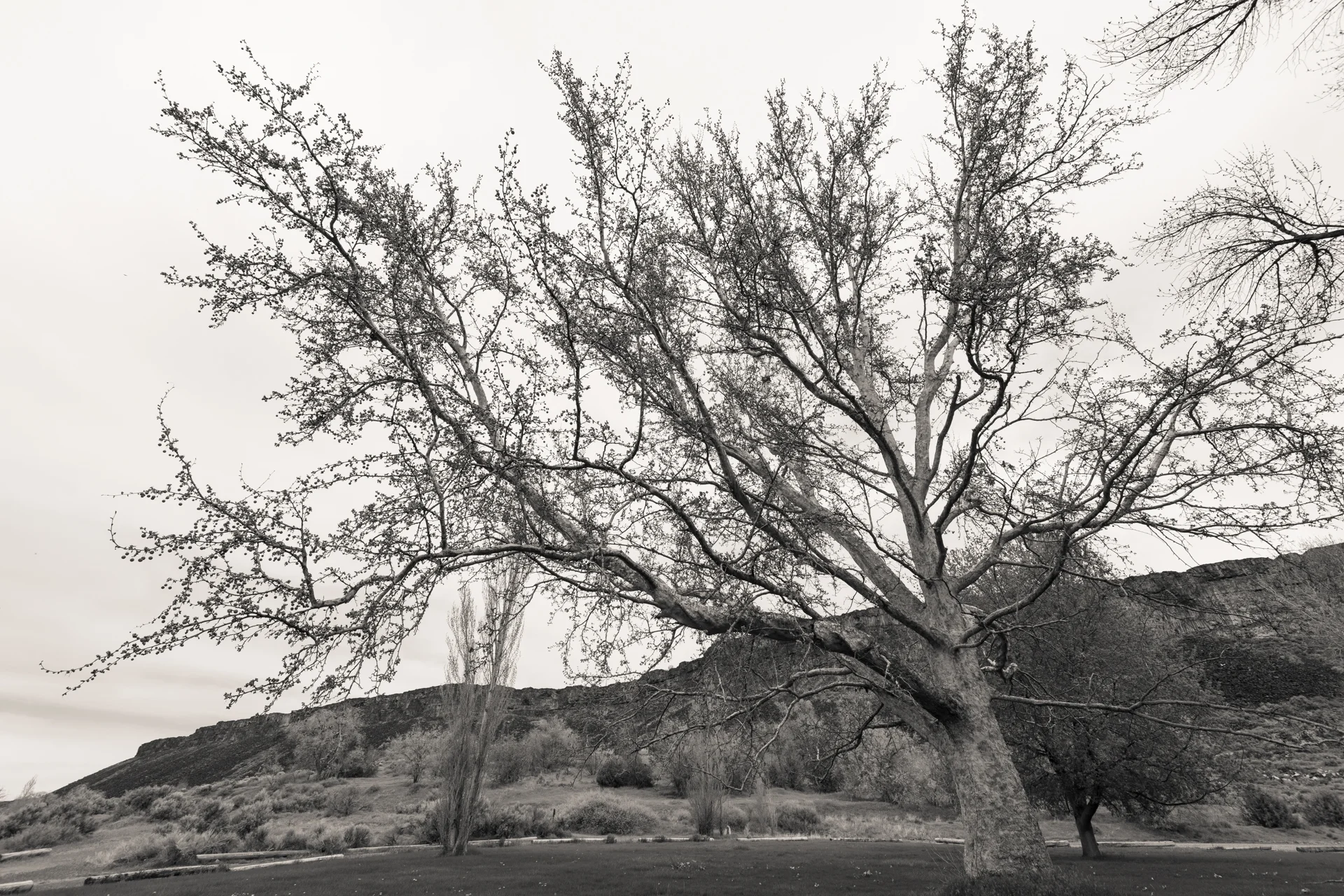 Niagara Springs State Park, Idaho 2019