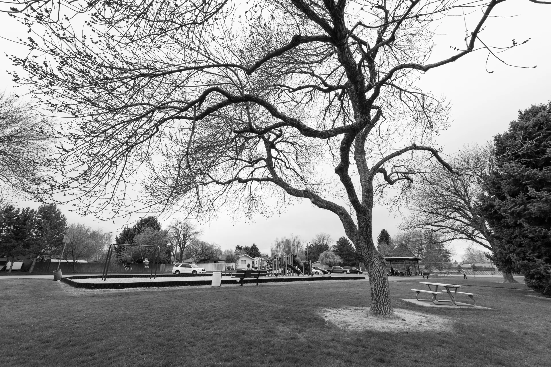 Cascade Park, Twin Falls, Idaho 2019