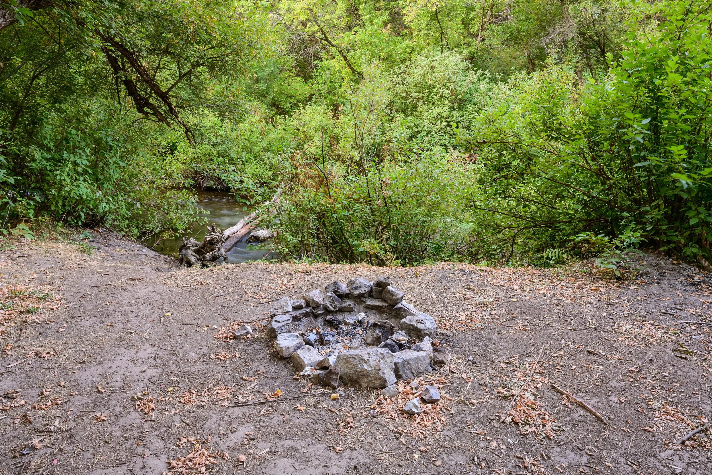 Left Hand Fork Canyon, Utah