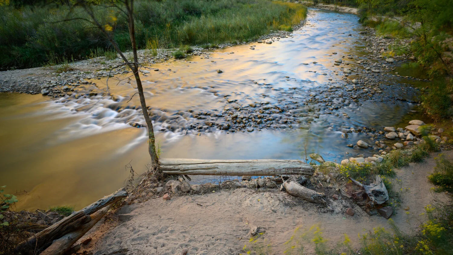  Virgin River, Zion National Park 2019 
