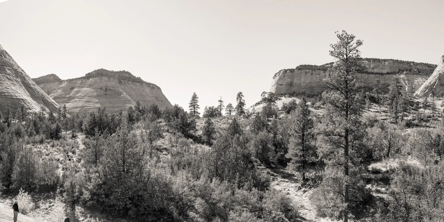  White Cliffs, Zion National Park 2019 