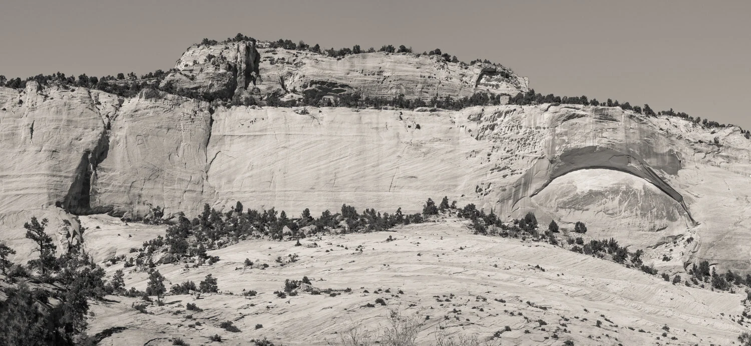  White Cliffs, Zion National Park 2019 