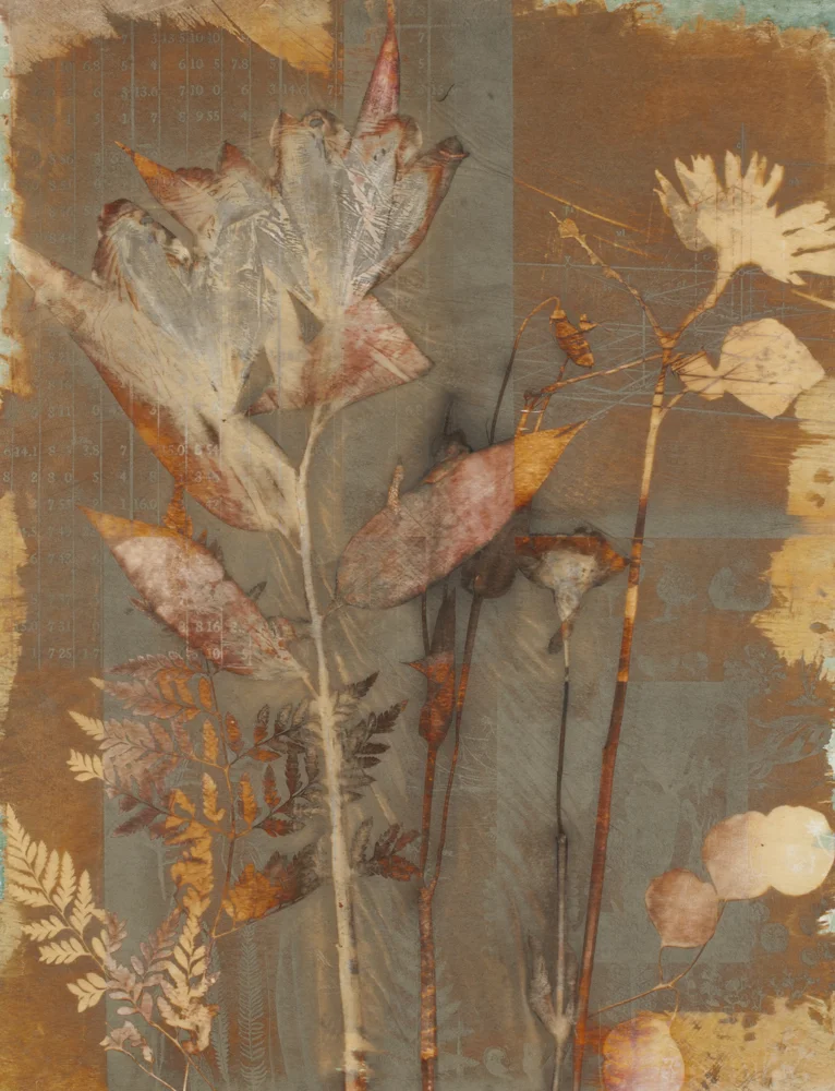  Arc of Departure 09/09 