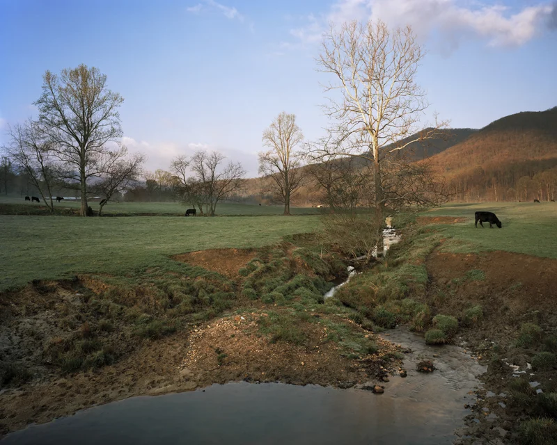 Brown family farm, North Fork of the Swannanoa River, Black Mountain, North Carolina, 2007