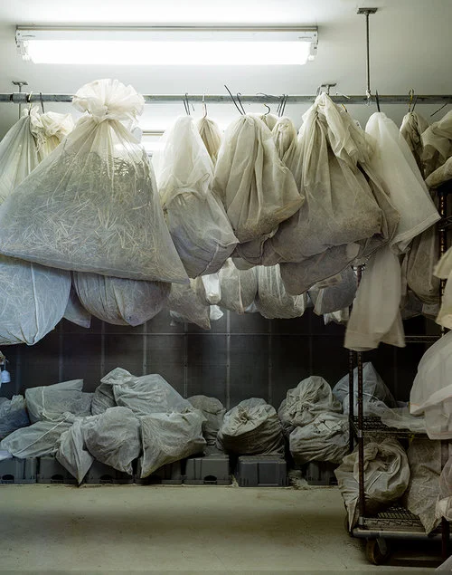   Collection of Drying Plant Genetic Researches, Geneva, New York  