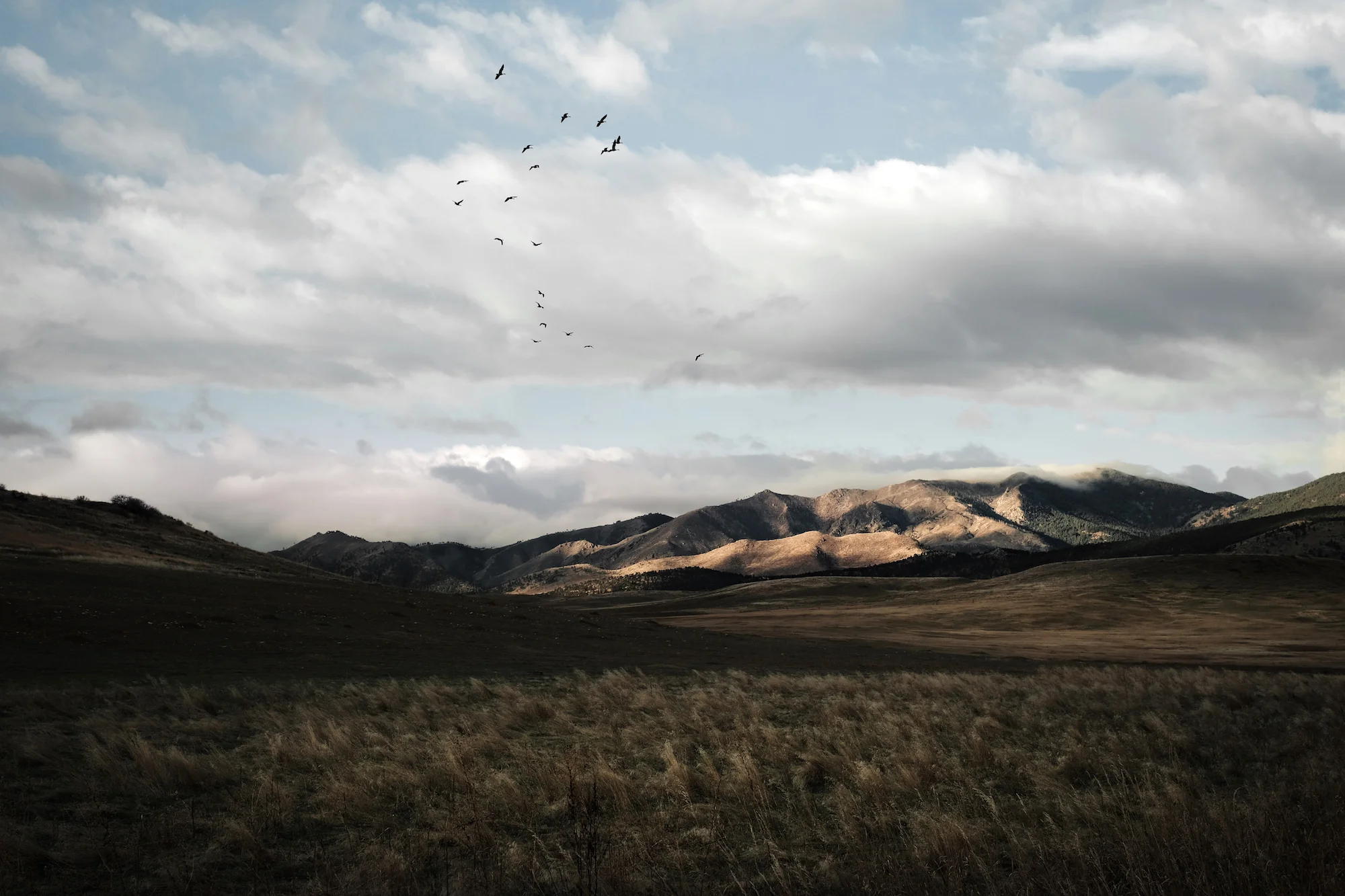  “Morning Light” from The Great American West  I take my morning coffee in the car and just drive around nearby rural areas a few days a week. The early light against the foothills makes for beautiful views and subtle contrasts, just nice quiet moments. 