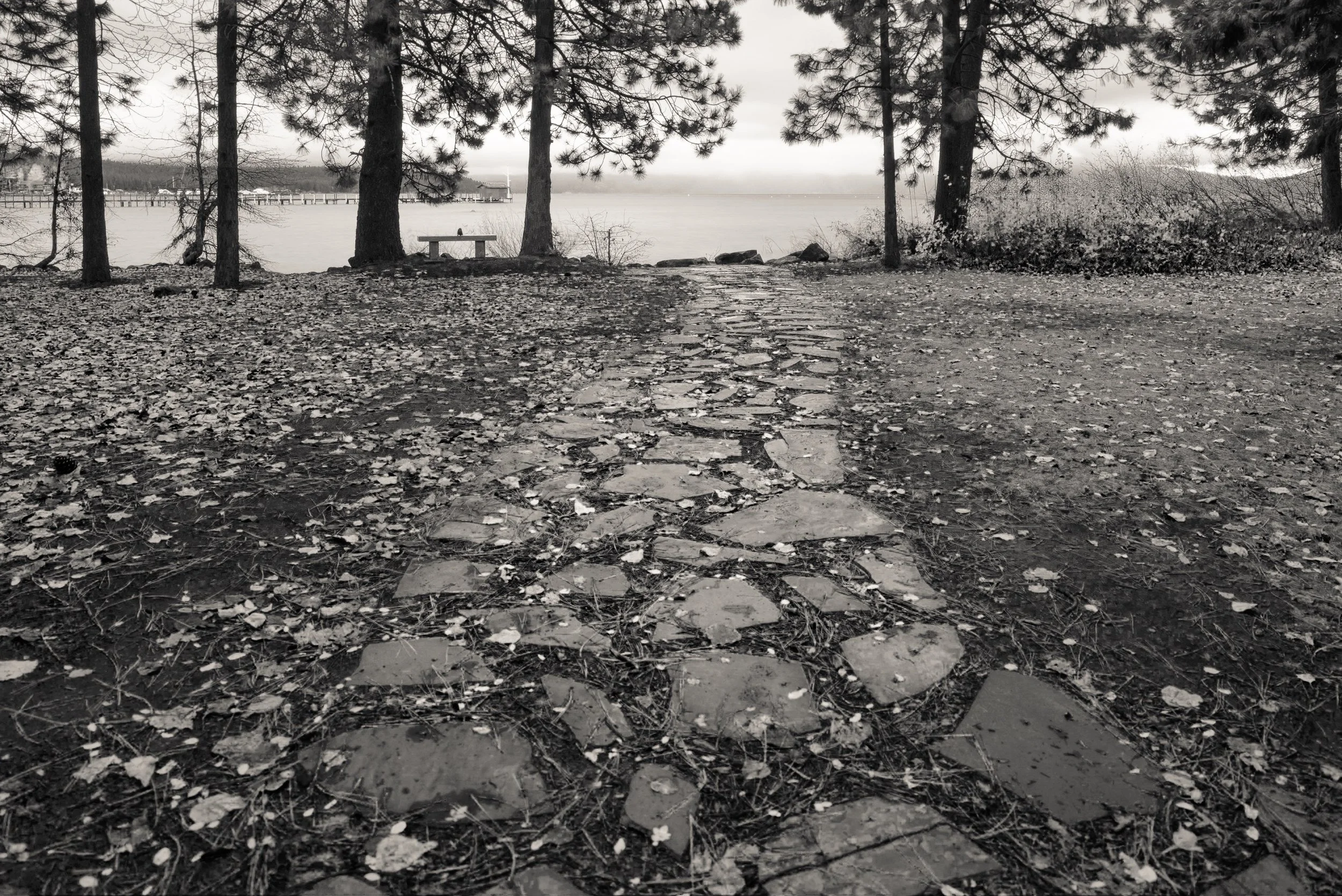 William B. Layton Park, Lake Tahoe, California 2017 