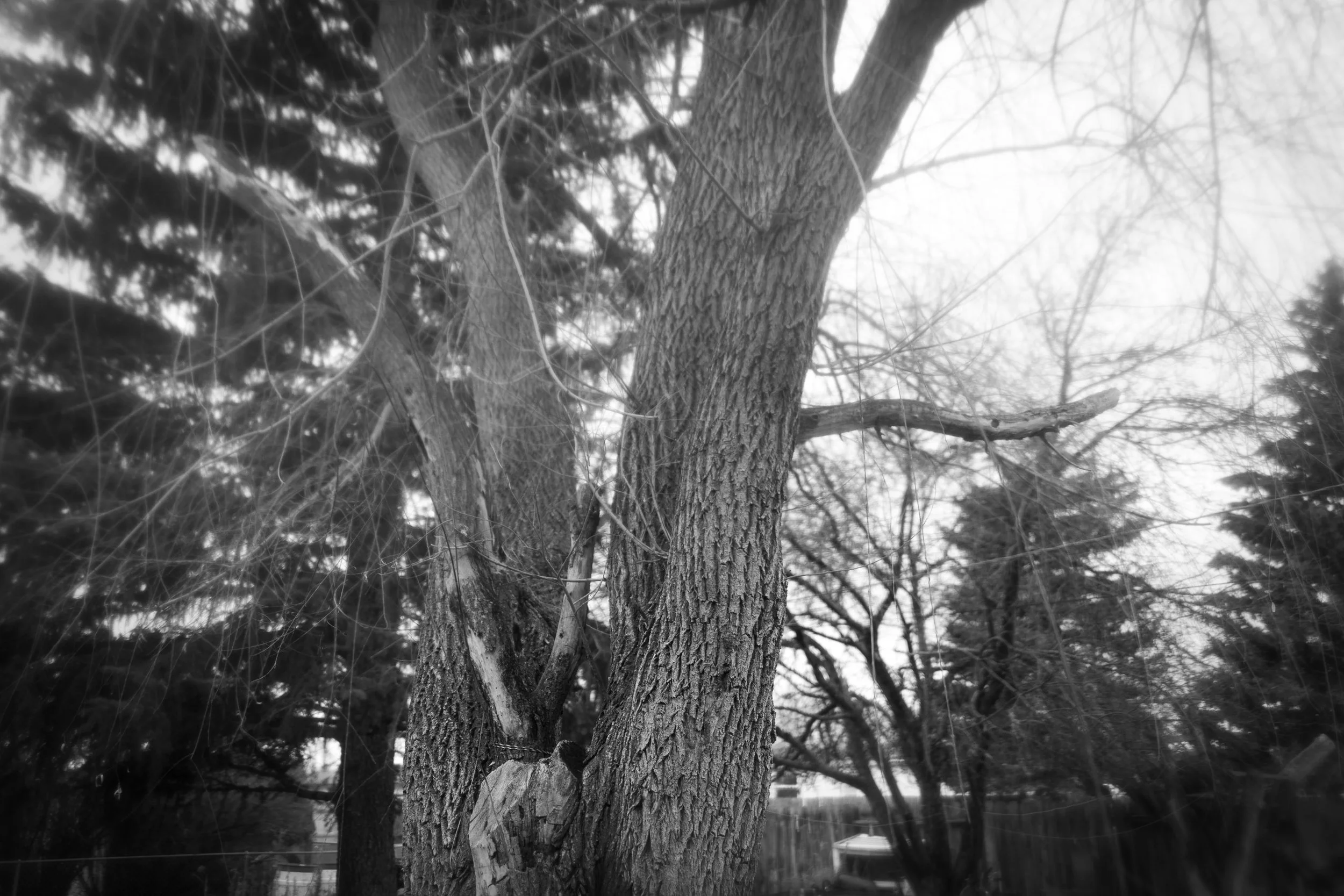  The Journey Begins Here 