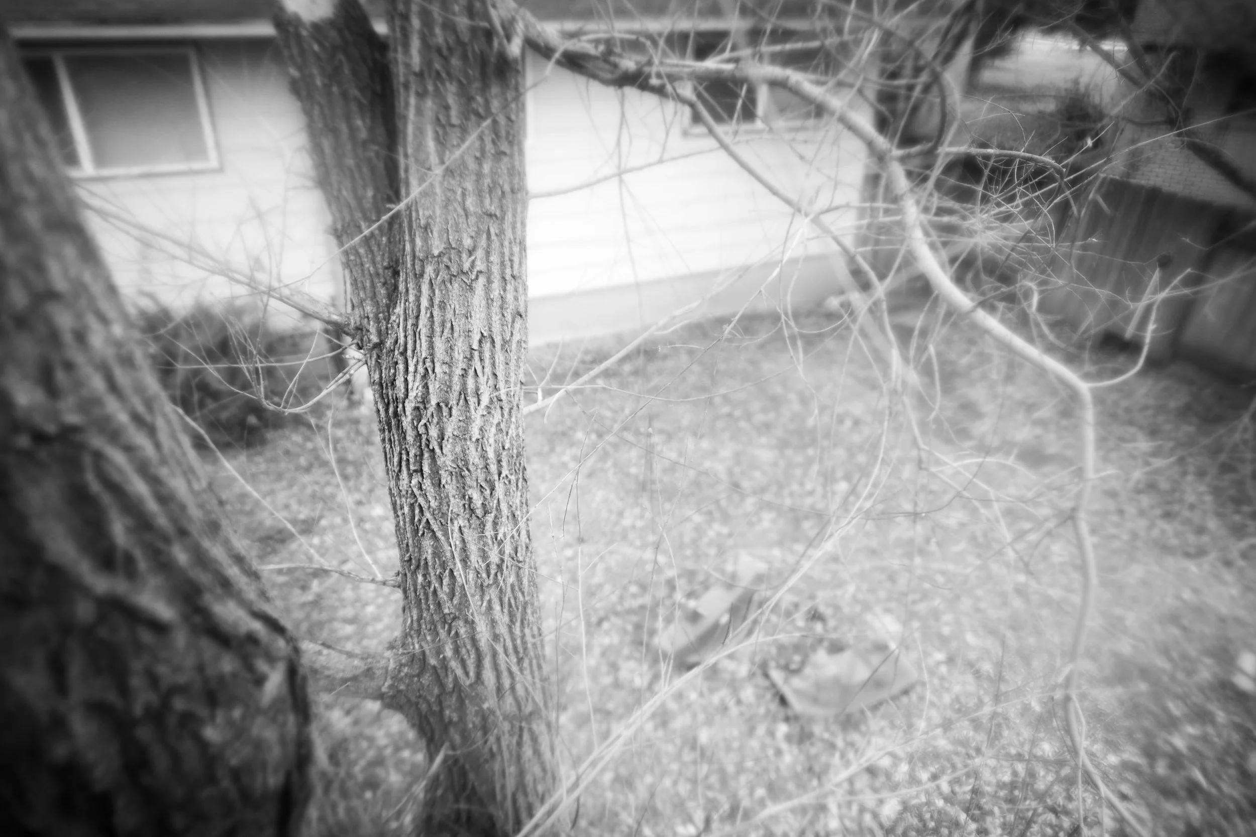  Now Our Children Play Here 