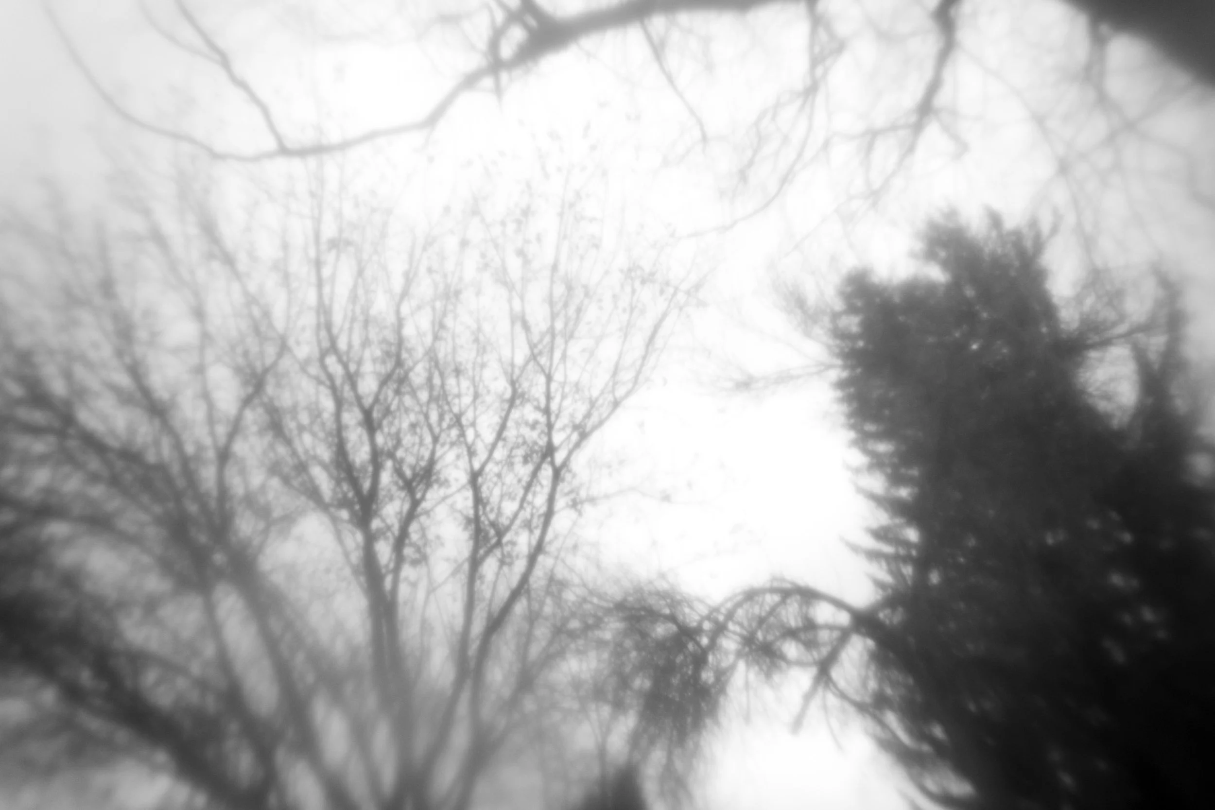  Surely it Wasn’t a Dream? 