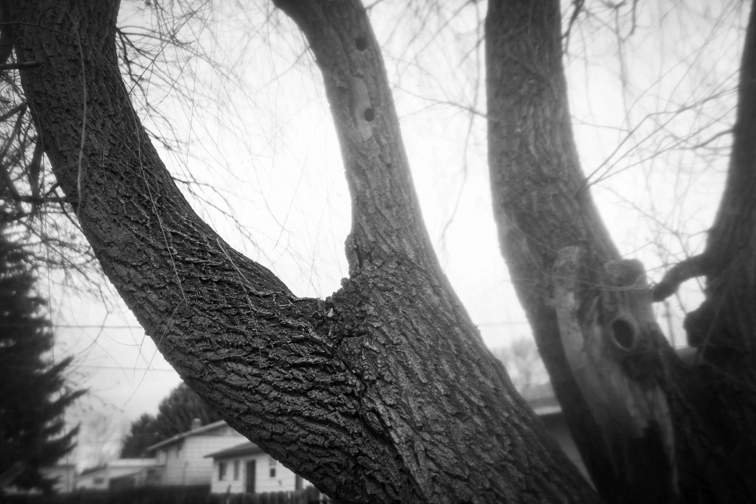  Perfect for Lounging 