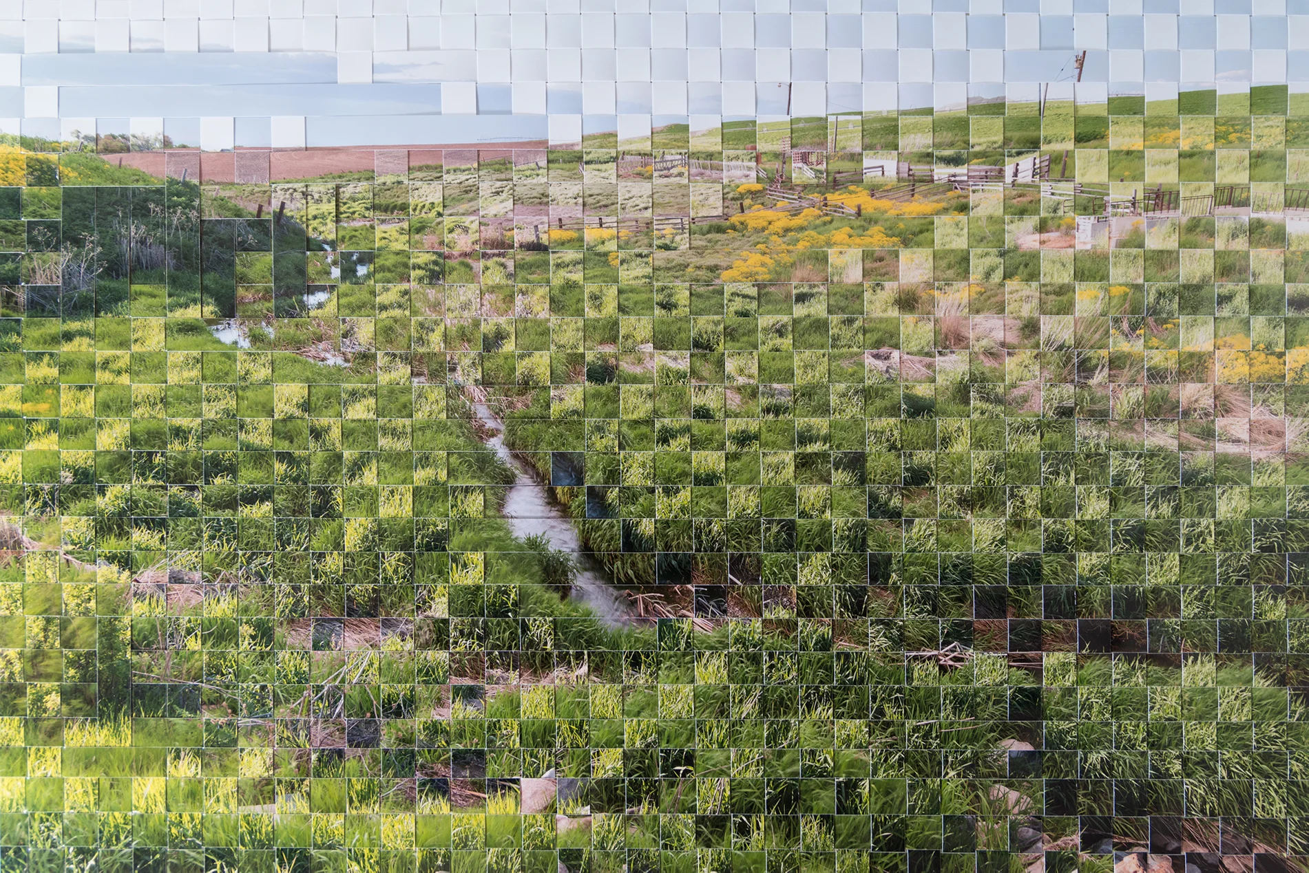  Two Hours at Newton Creek, May 24, 2017 