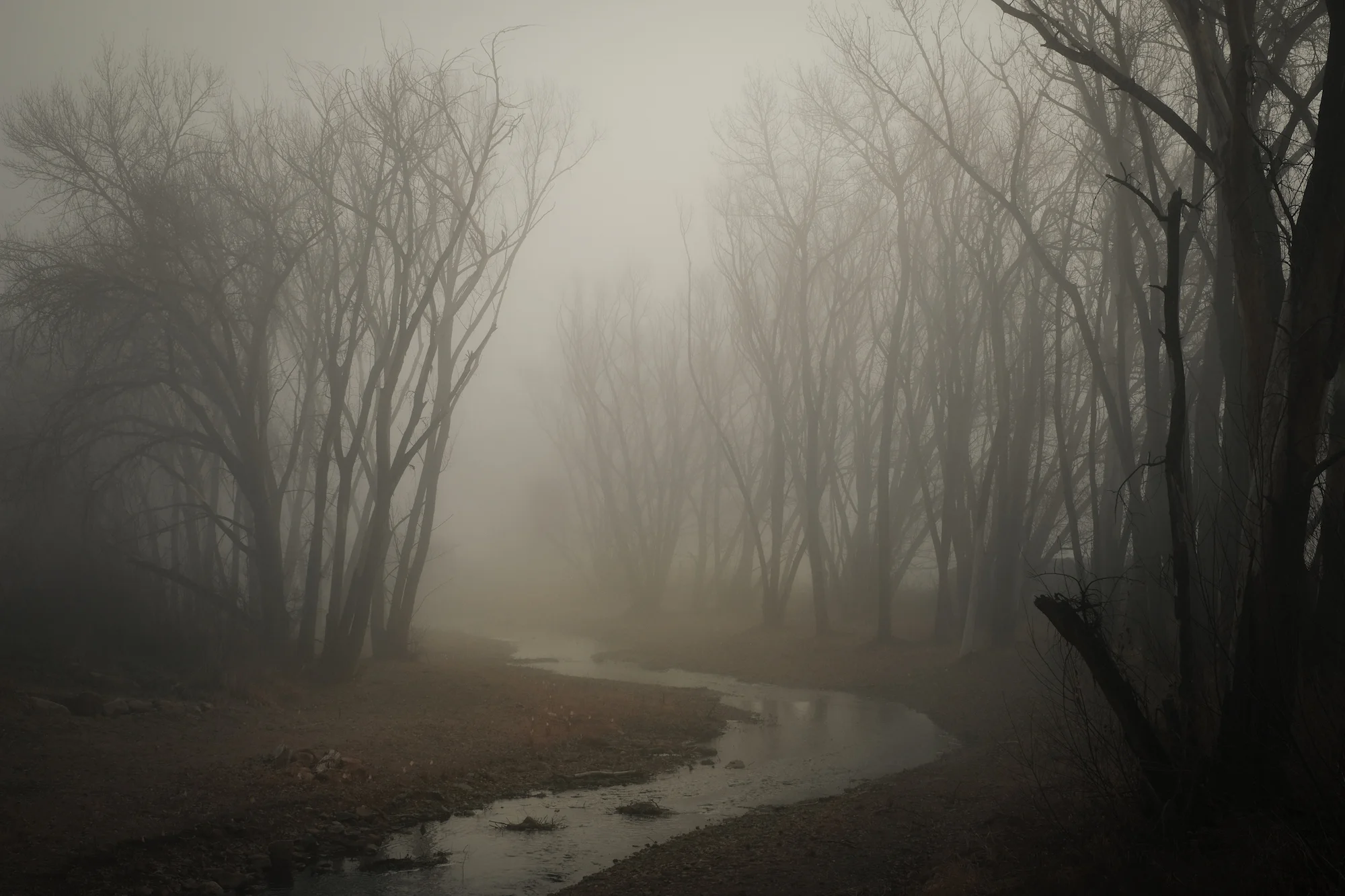 Subtlety No. 4 A morning drive through a particularly dense fog in Niwot, Colorado. Left Hand Creek is seen winding through layers of trees.