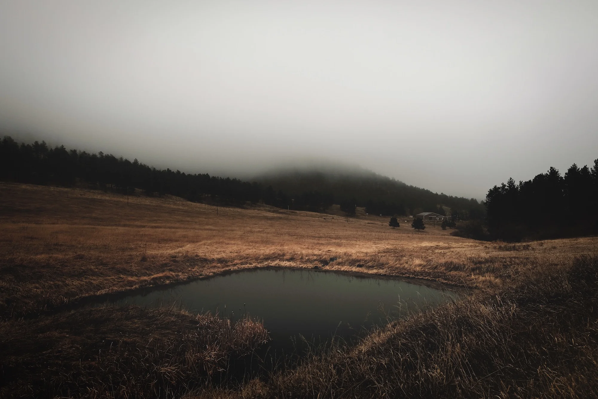  Subtlety No. 10  A foggy morning somewhere along Buckhorn Road, west of Masonville, Colorado. 