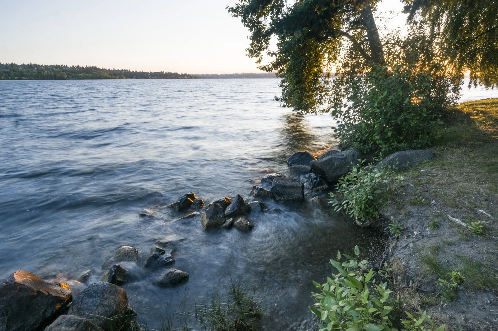  Lake Washington, Chism Park, Bellevue, Washington 2016 