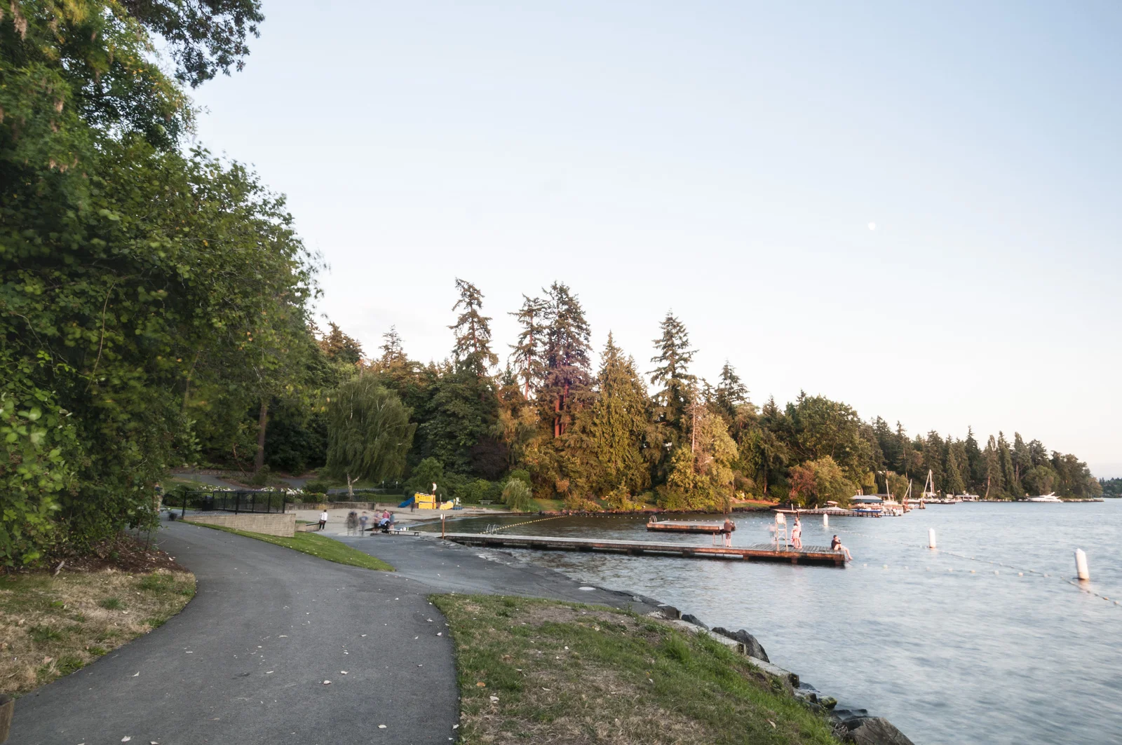  Chism Park, Bellevue, Washington 2016 