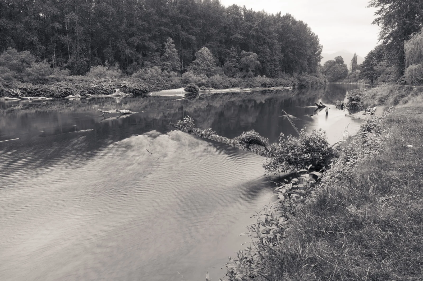  Snoqualmie River, Snoqualmie, Washington 2016 