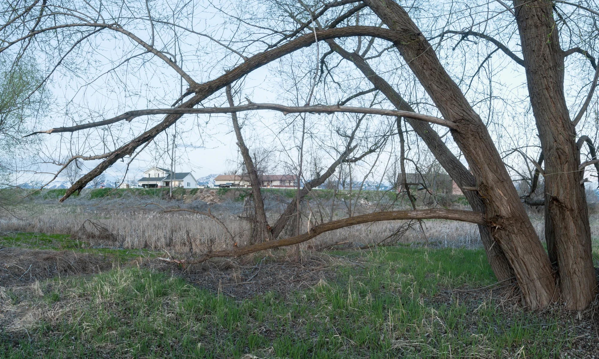  Cottonwoods, Benson, Utah, 2016 
