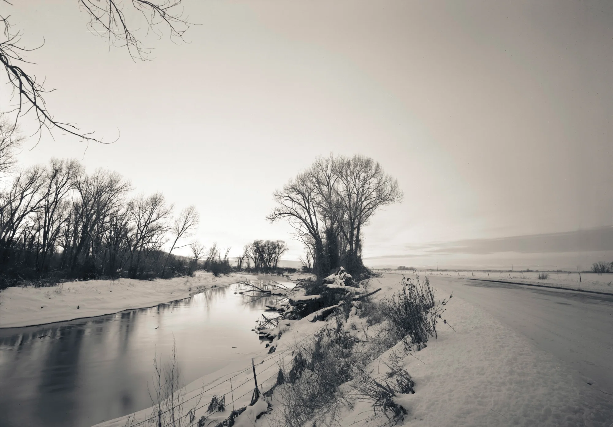 Texas Slough, Idaho, 2004