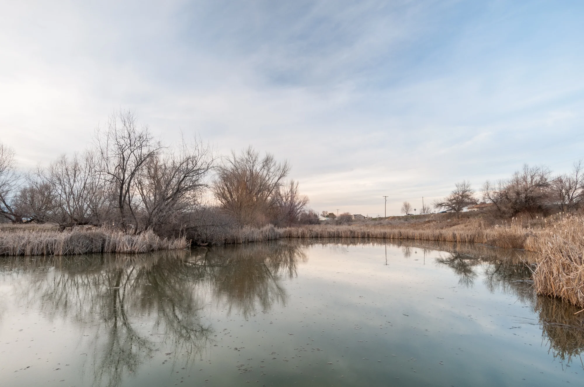 Marsh, Benson, Utah, 2016