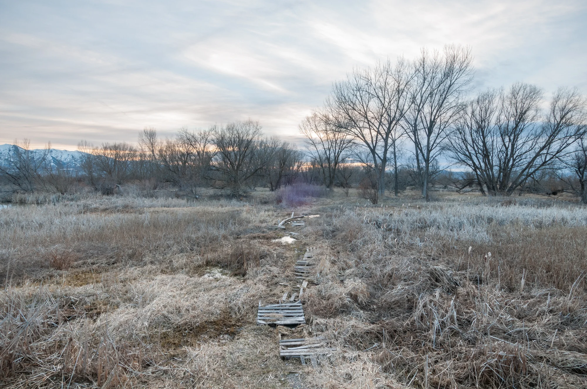 Pallet Pathway, Benson, Utah, 2016