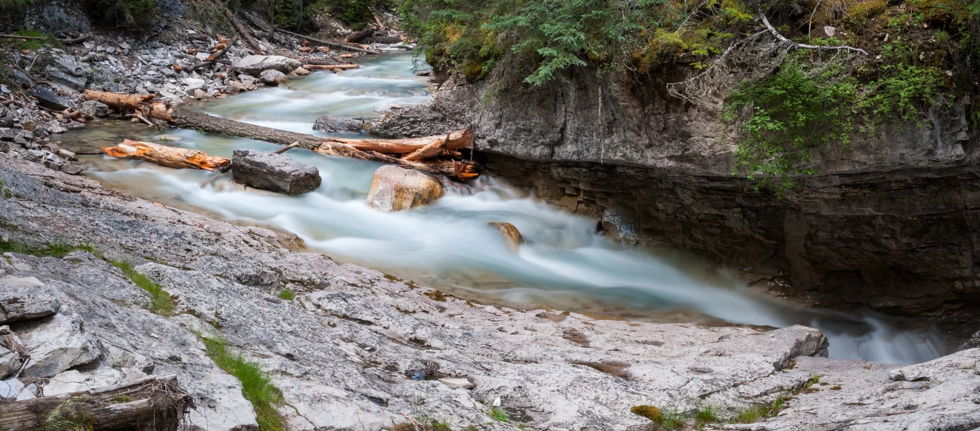 Johnston Creek, Banff National Park, July 2015