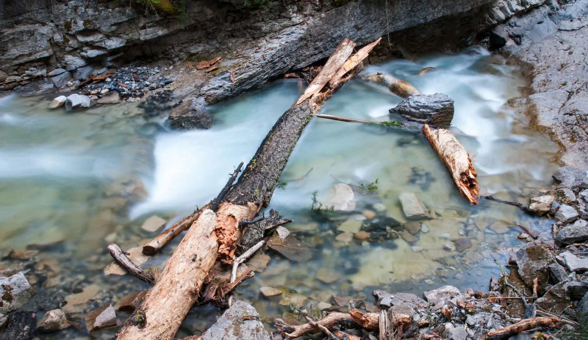 Johnston Creek, Banff National Park, July 2015