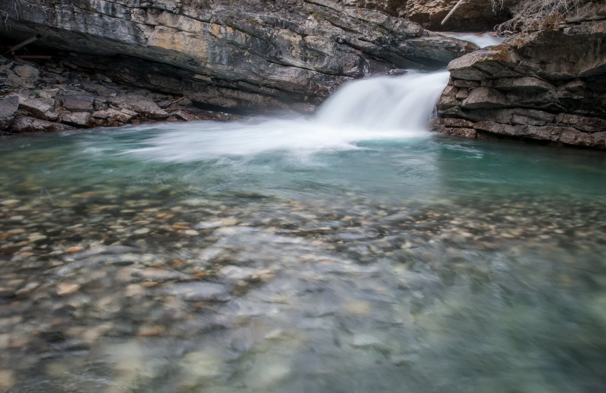 Johnston Creek, Banff National Park, July 2015