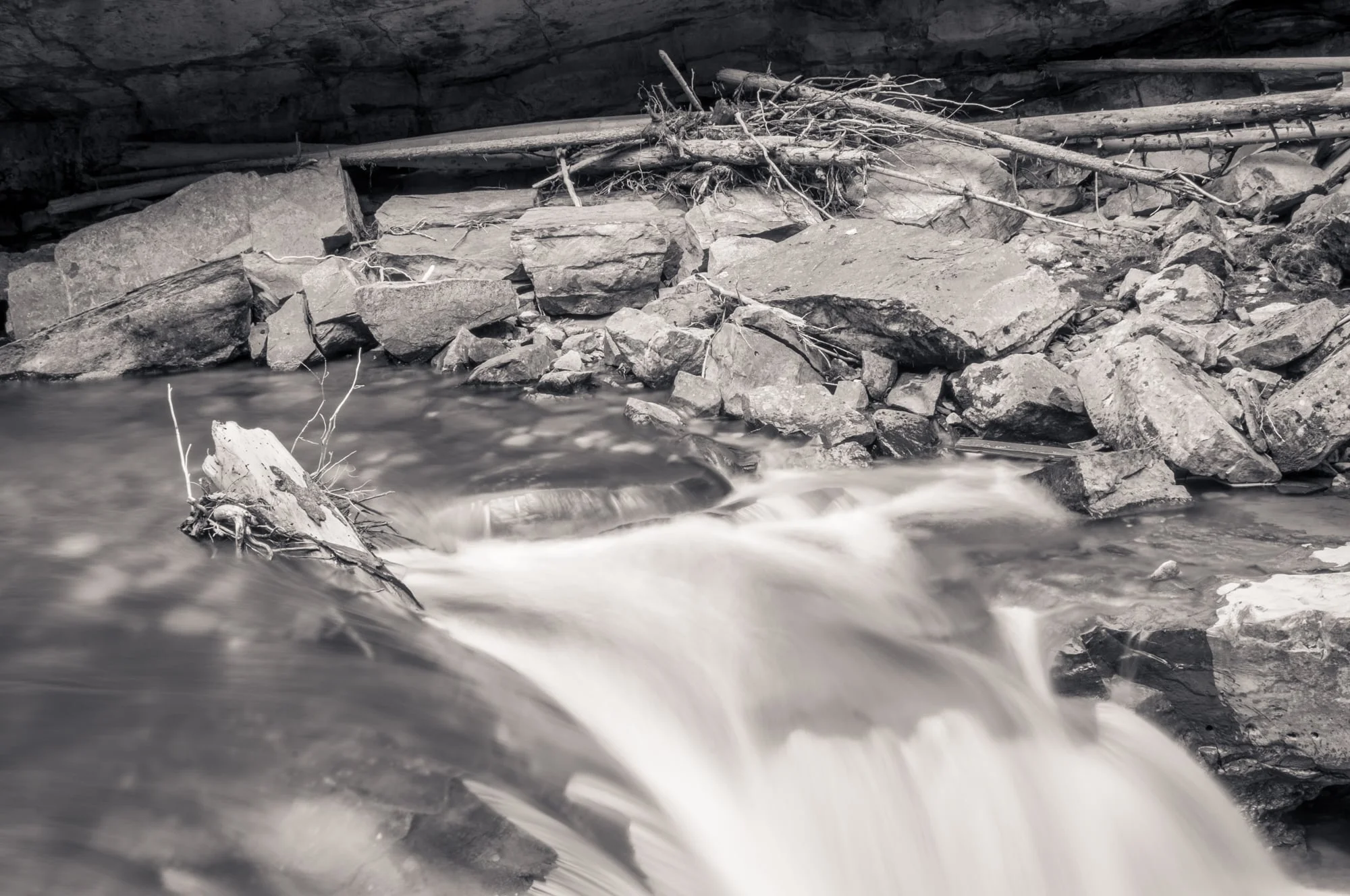Johnston Creek, Banff National Park, July 2015