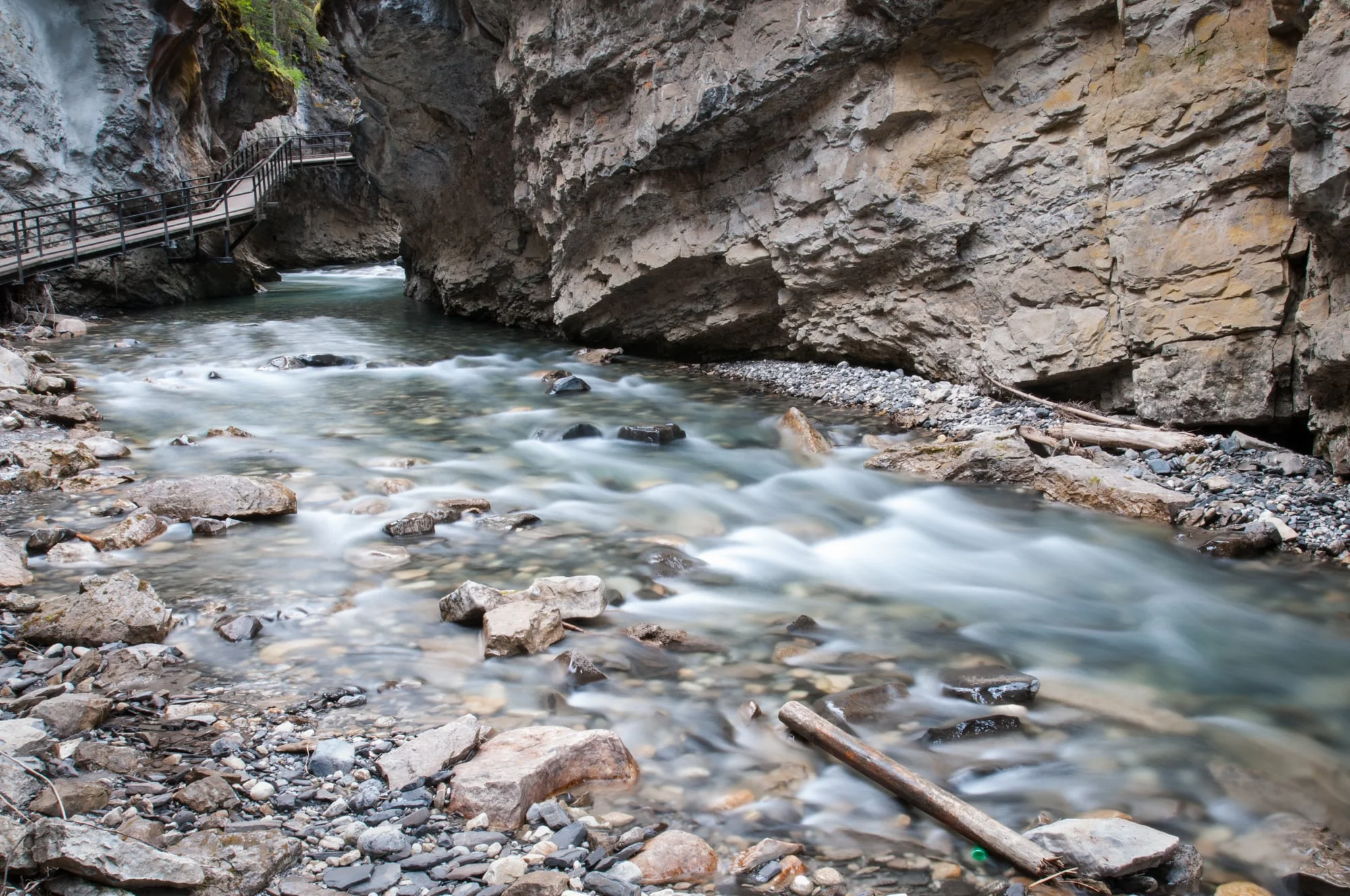 Johnston Creek, Banff National Park, July 2015