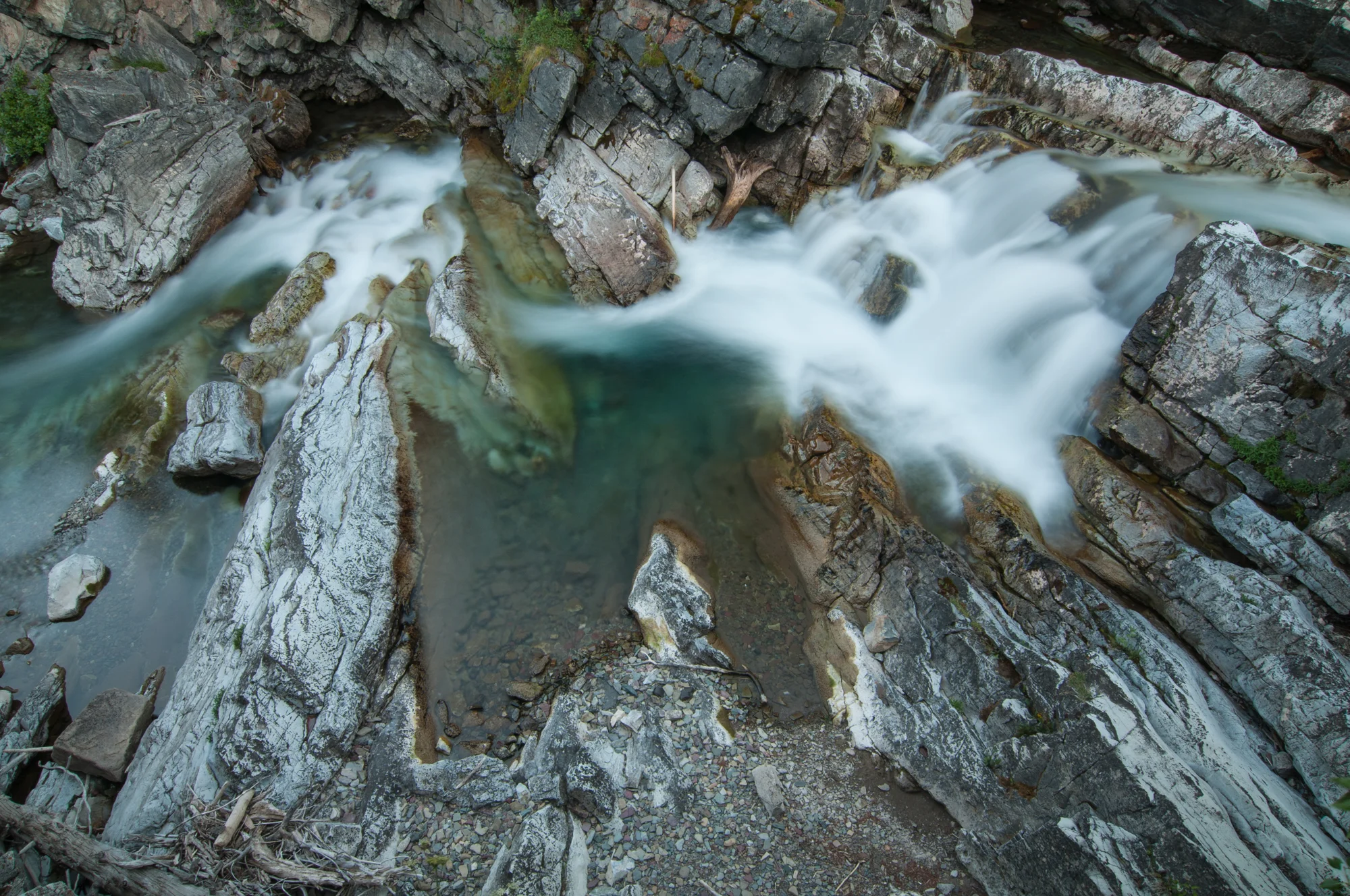  Cameron Creek, Waterton Lakes National Park, July 2015 