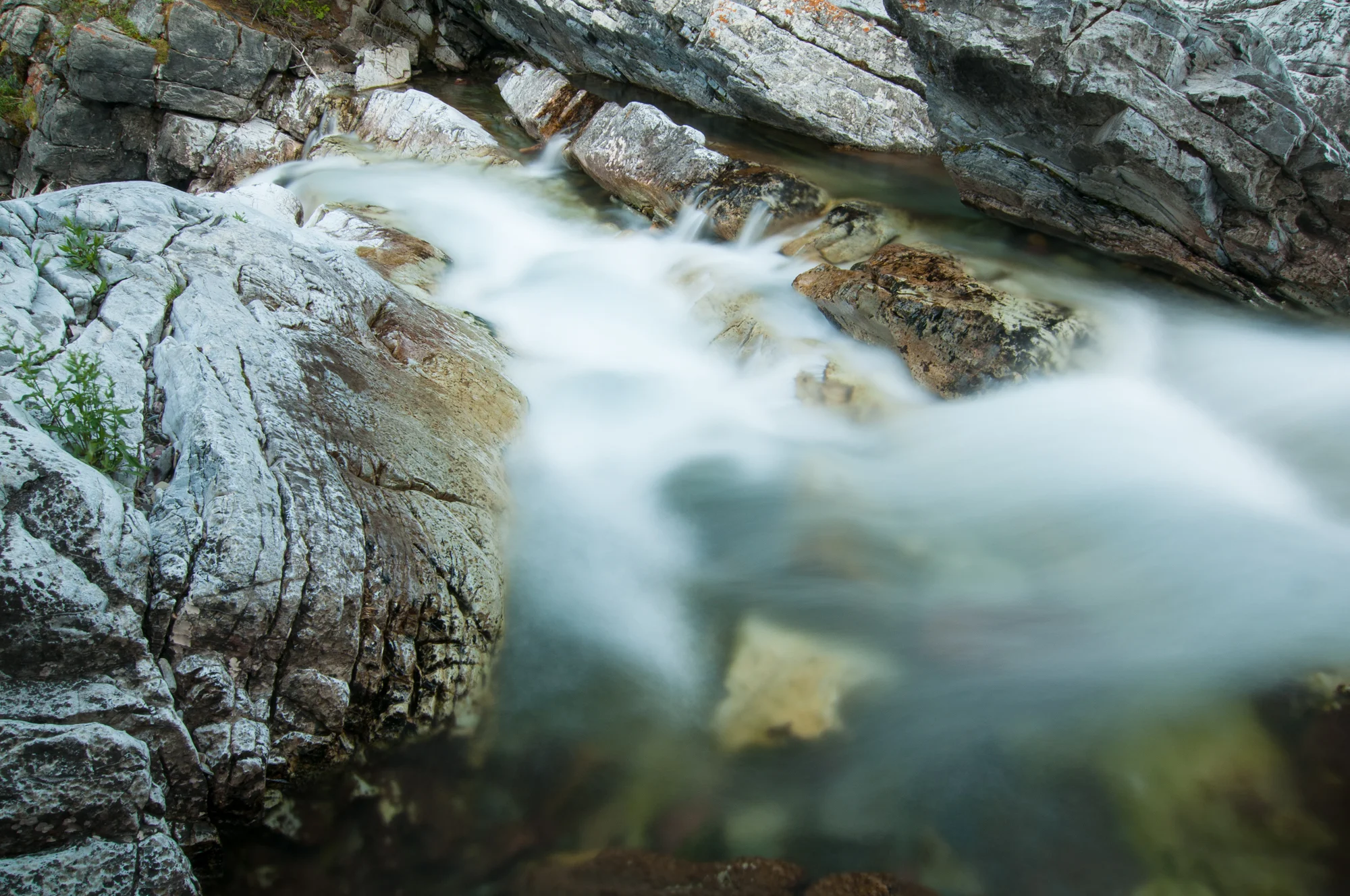 Cameron Creek, Waterton Lakes, National Park, July 2015 