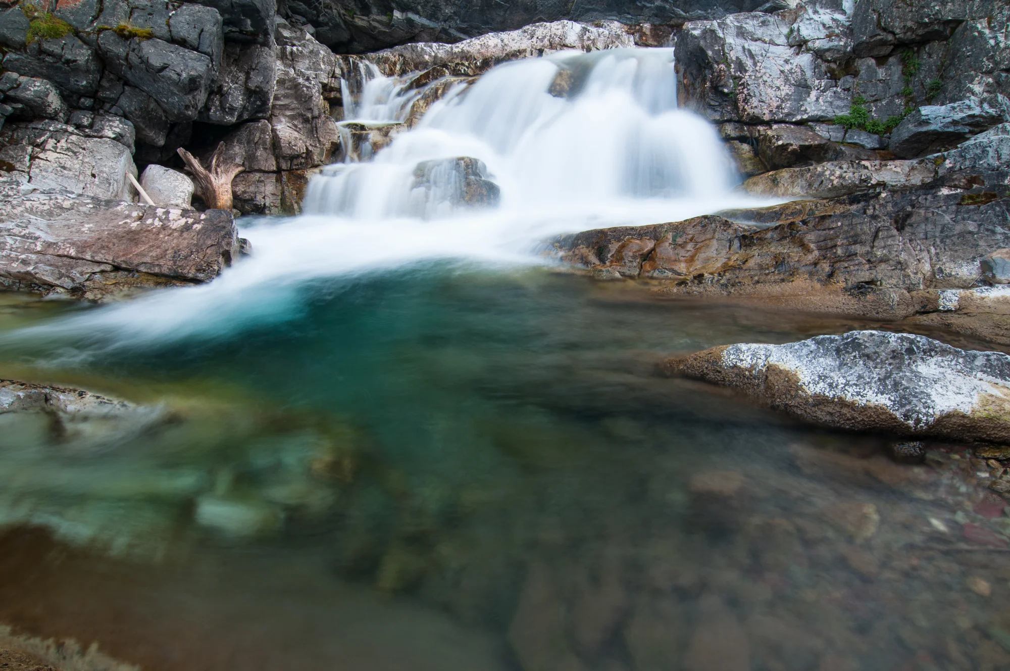  Cameron Creek, Waterton Lakes National Park, July 2015 