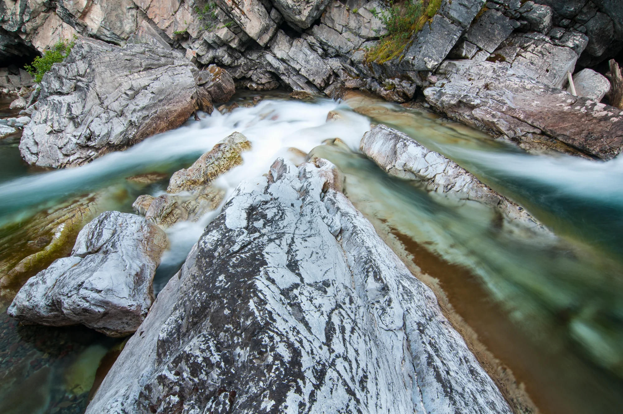  Cameron Creek, Waterton Lakes National Park, July 2015 