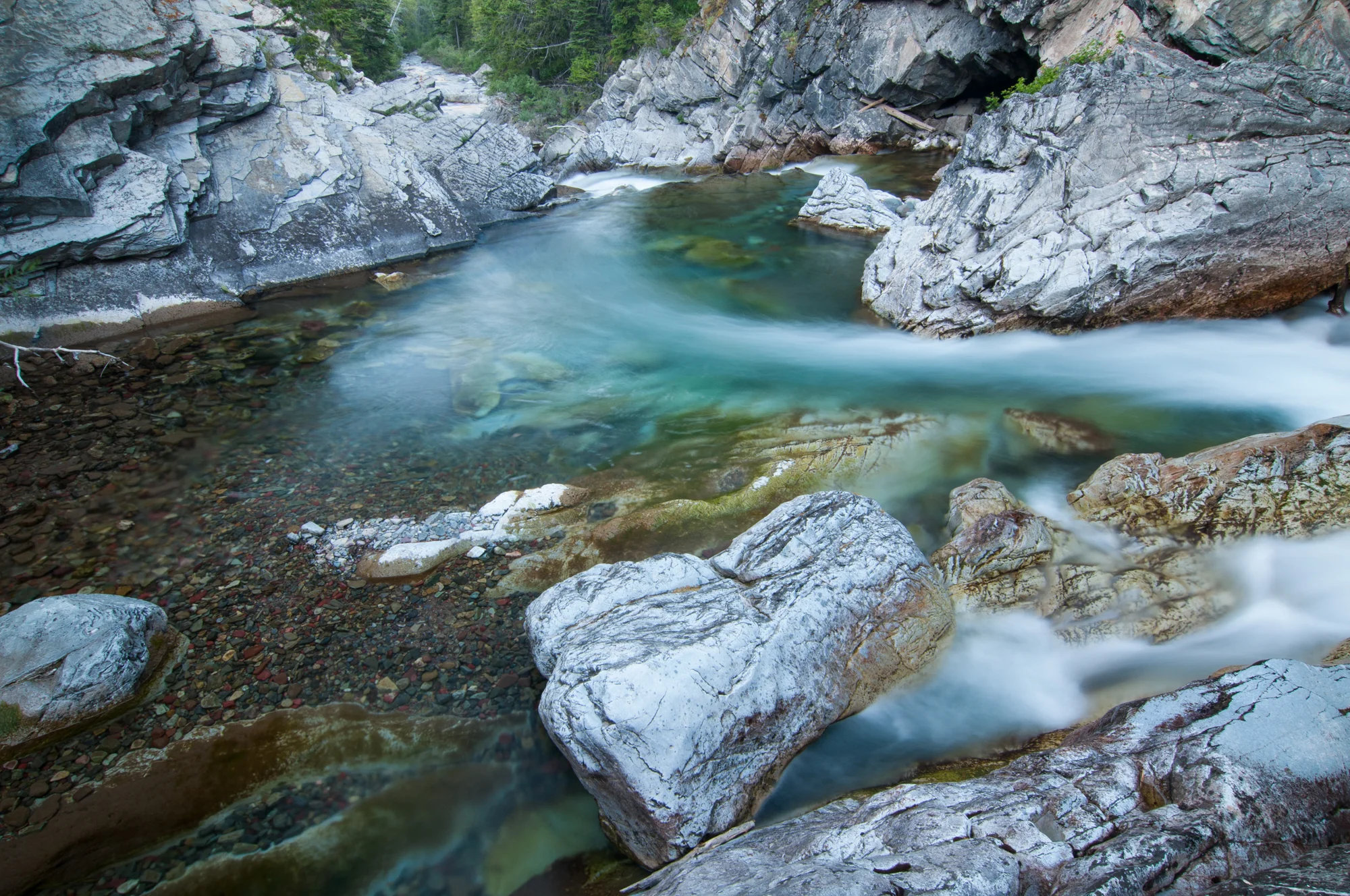  Cameron Creek, Waterton Lakes National Park, July 2015 