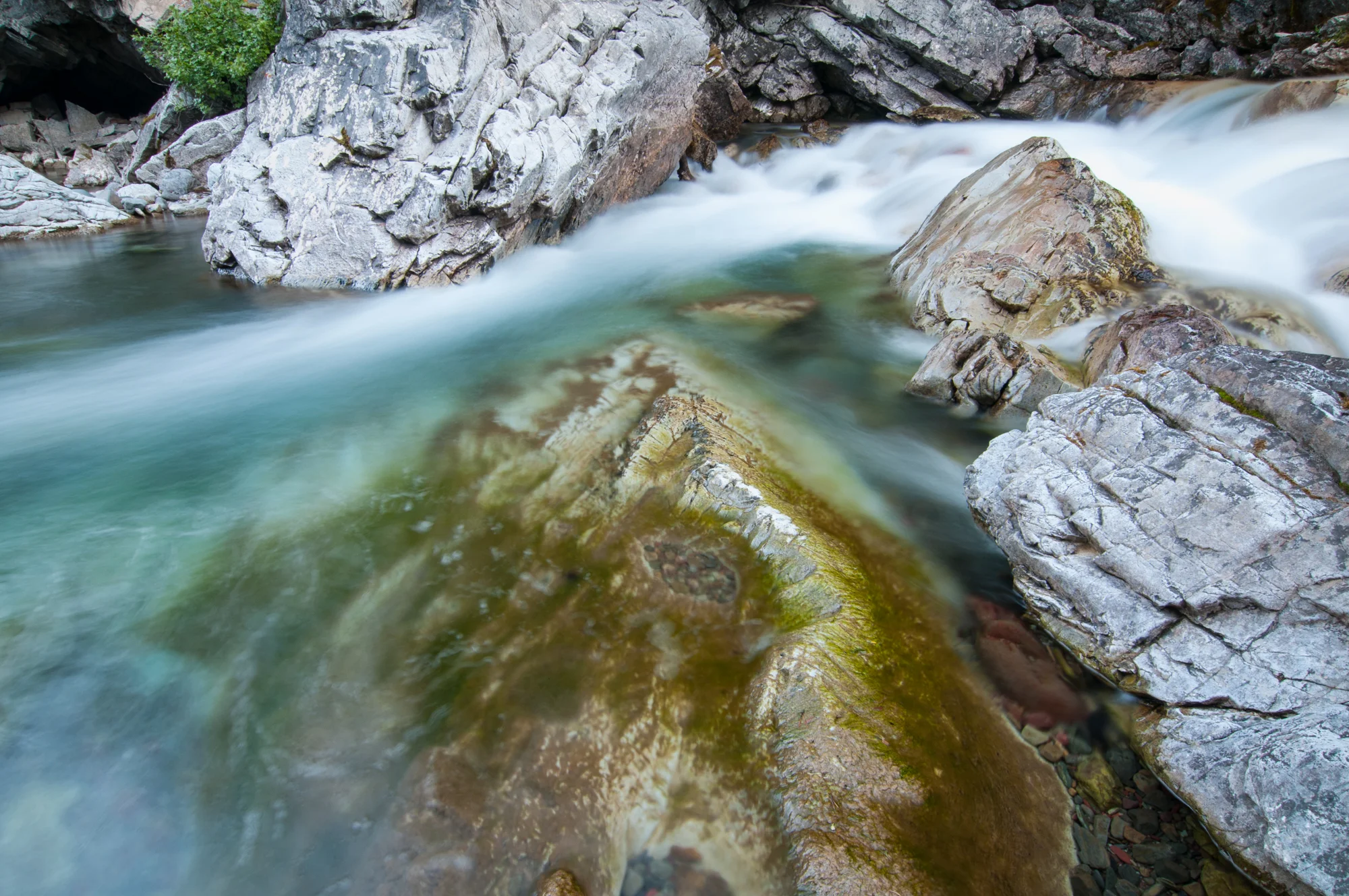  Cameron Creek, Waterton Lakes National Park, July 2015 