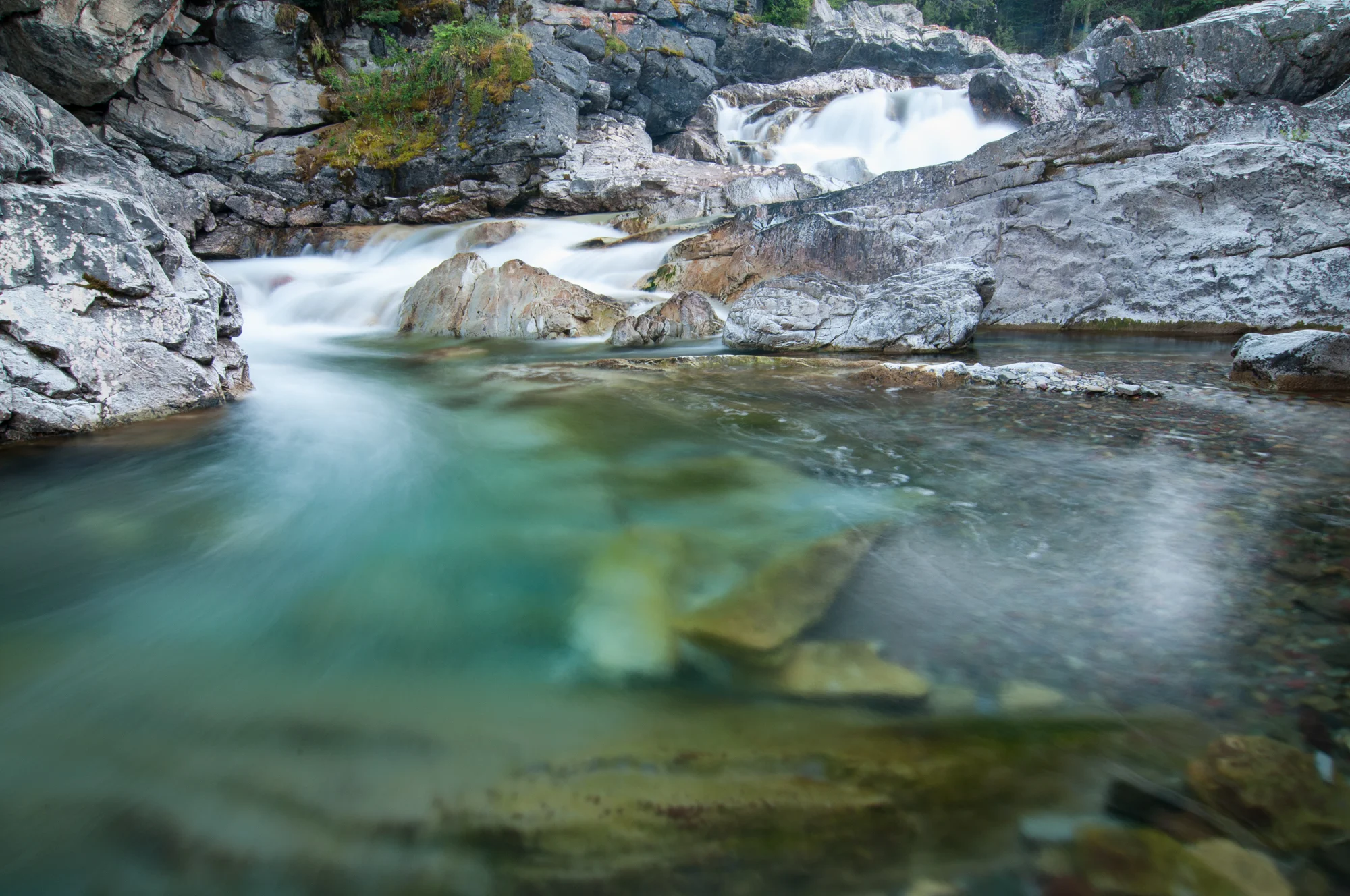  Cameron Creek, Waterton Lakes National Park, July 2015 