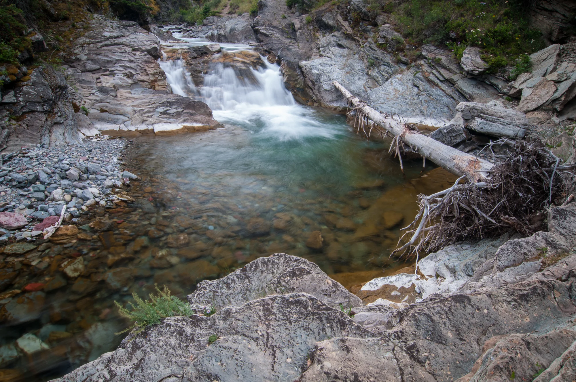  Blakiston Creek, Waterton Lakes National Park, July 2015 