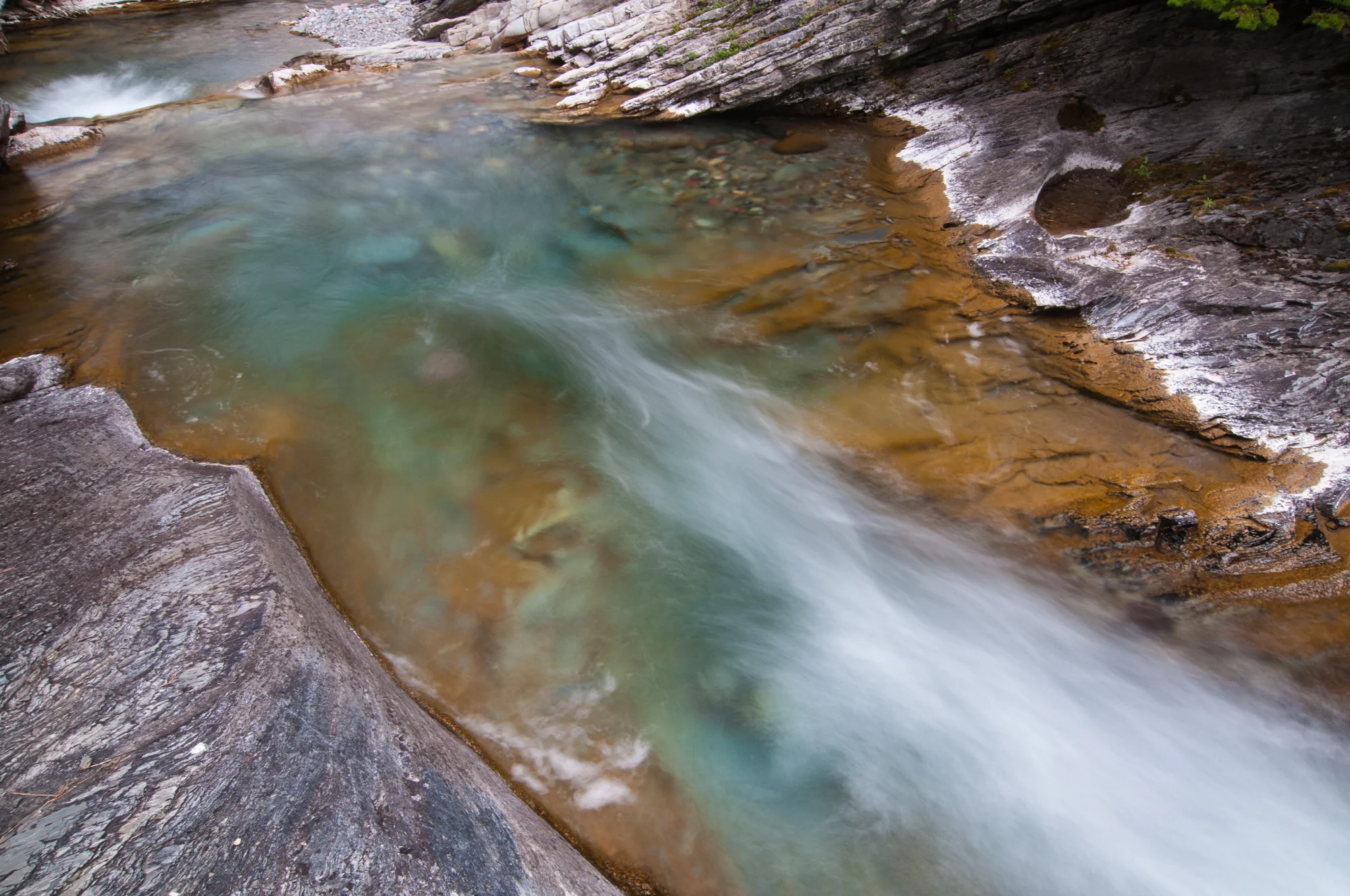  Blakiston Creek, Waterton Lakes National Park, July 2015 