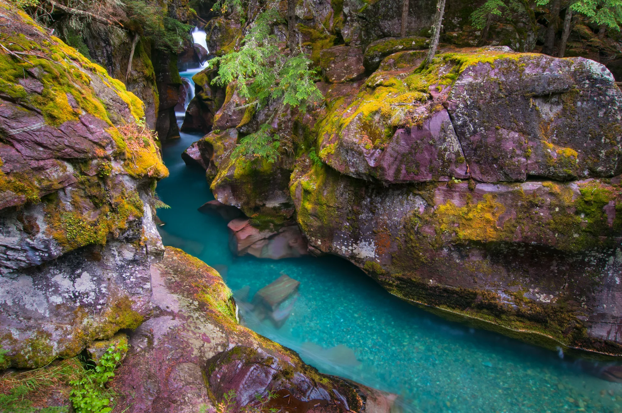 Avalanche Gorge, Glacier National Park, July 2015