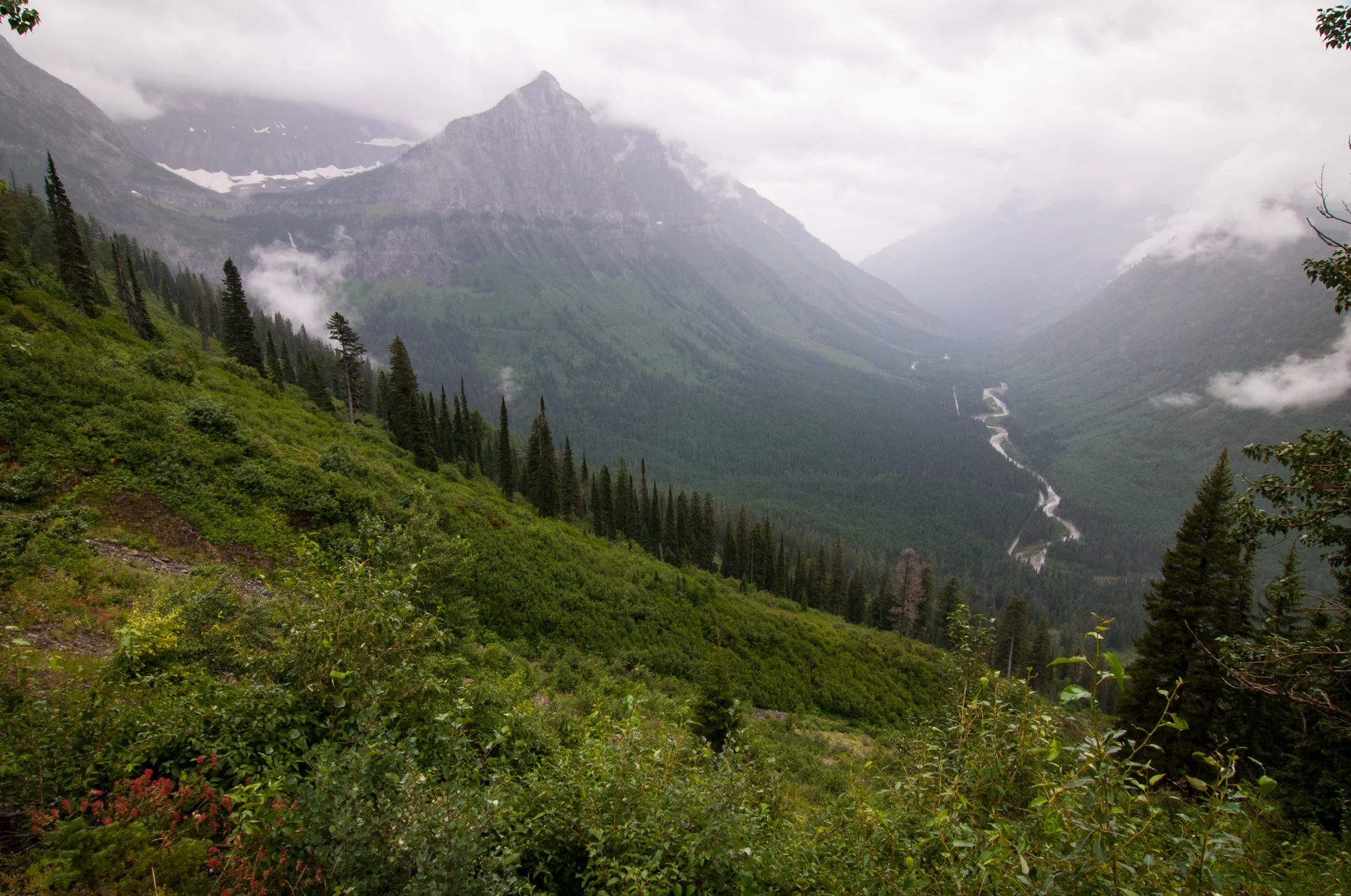 Bird Woman Falls, McDonald Creek, Glacier National Park, July 2015