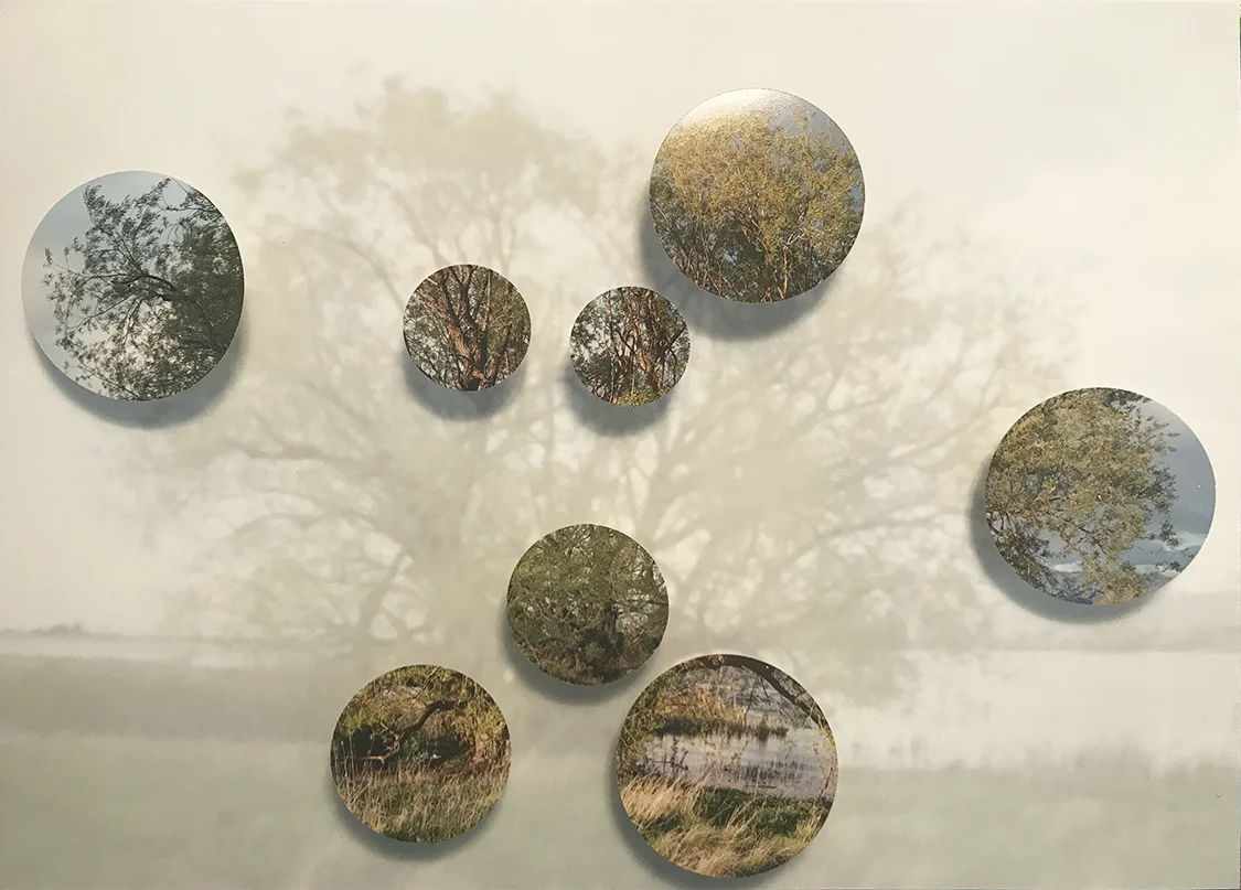  One Hour as the Sun Sets at Benson Marina 