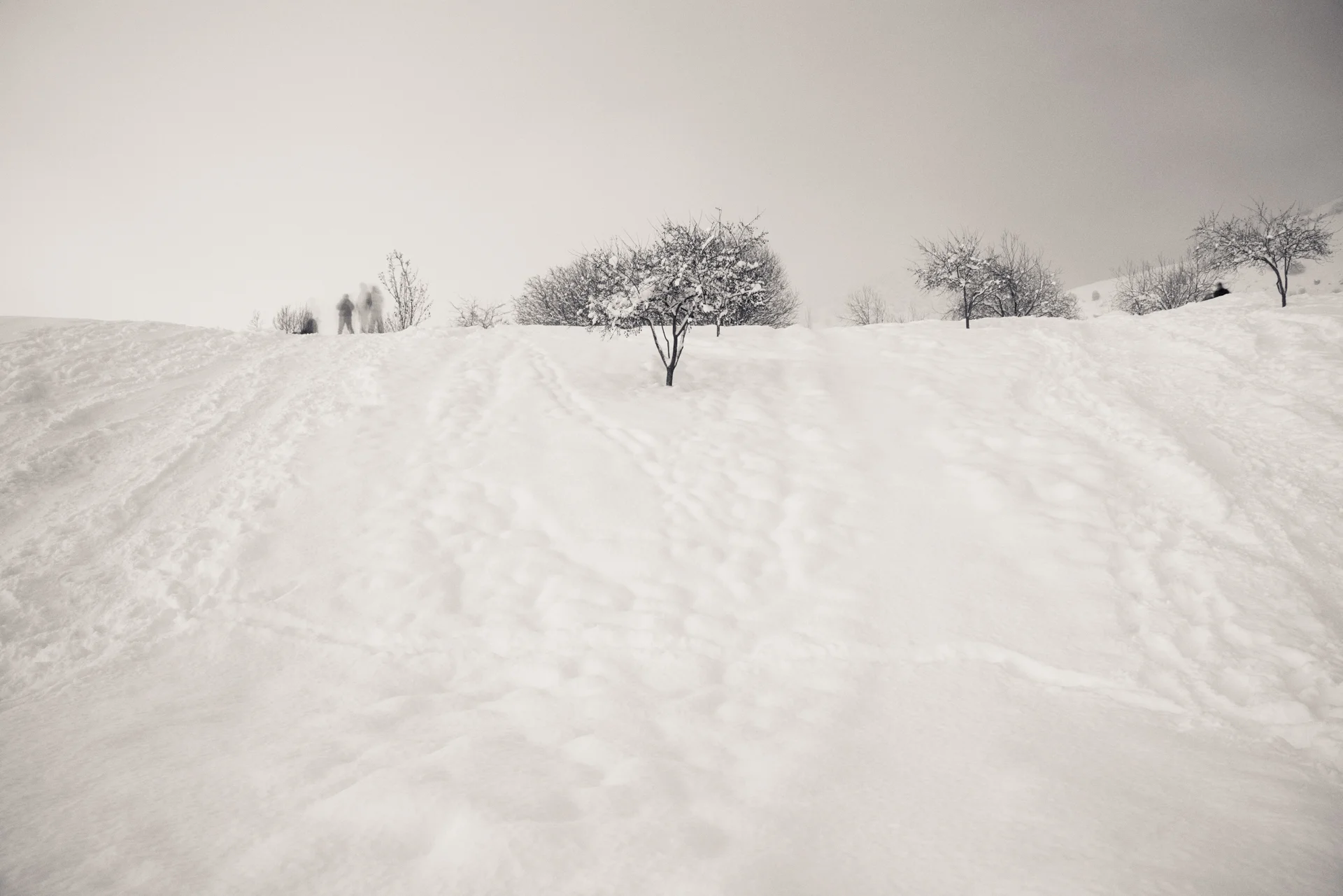 Hyrum Gibbons Mount Logan Park, Logan, Utah 2017