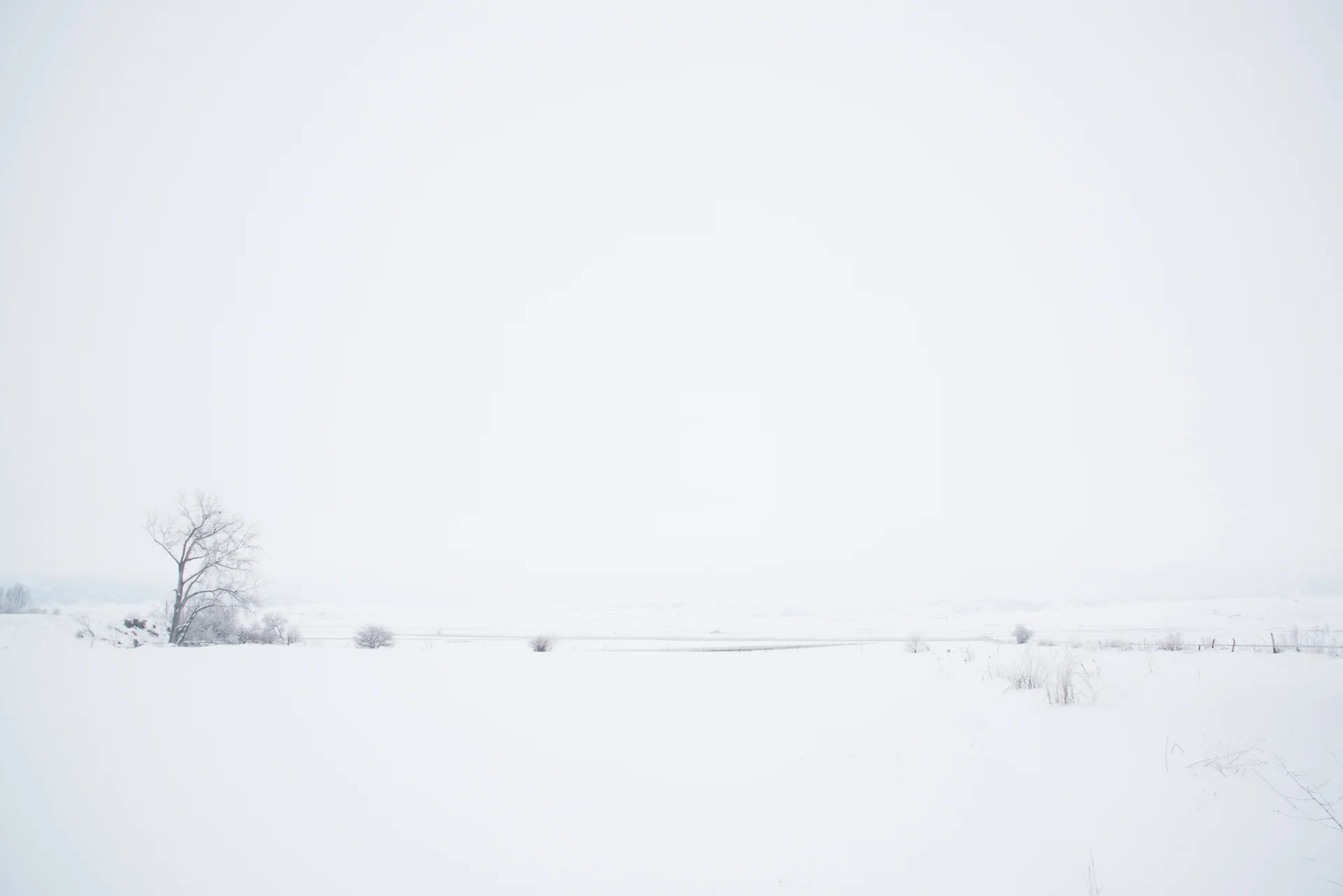 Snow Covered Field, Amalga, Utah 2017