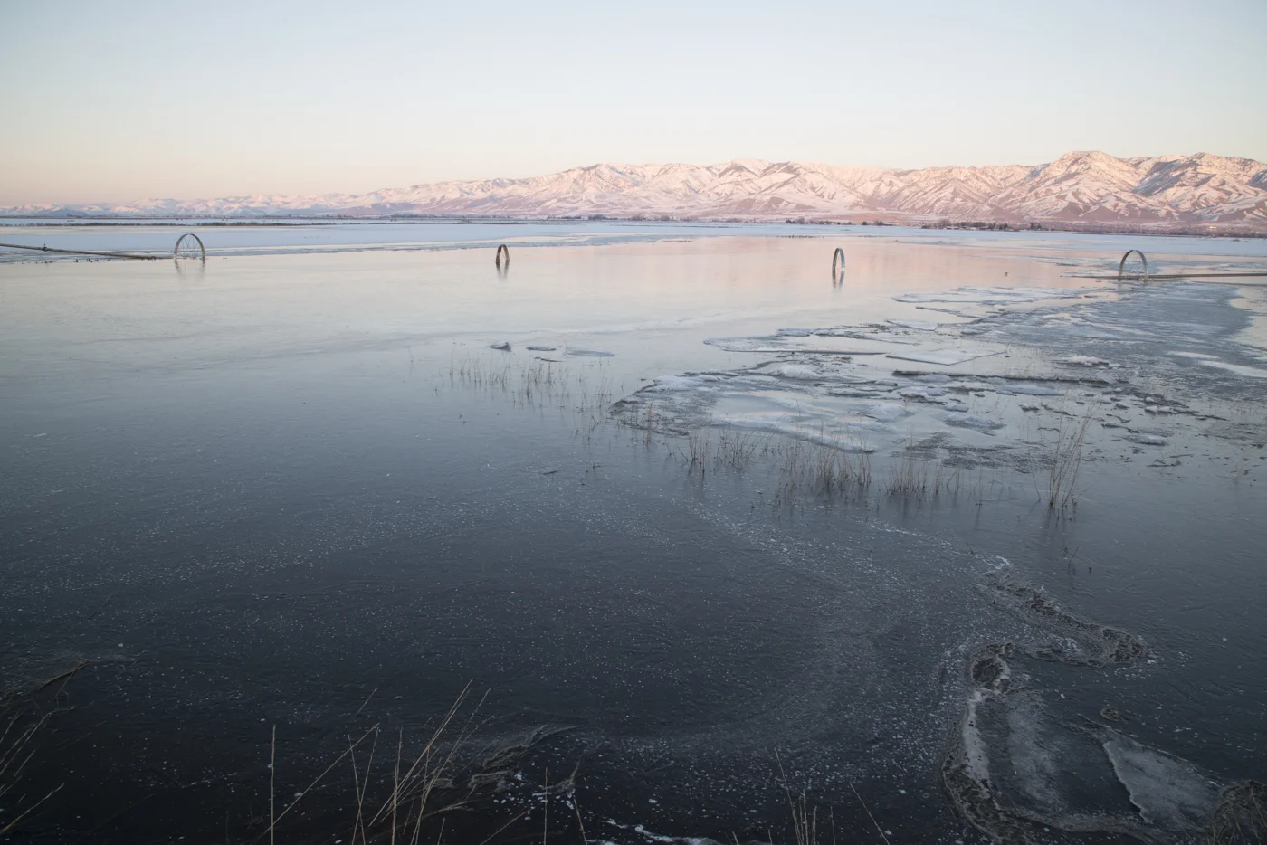 Submerged Sprinkler, Utah 2017